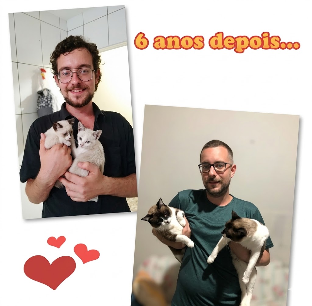 Galeria Luiz Felipe Schulz Stachowski