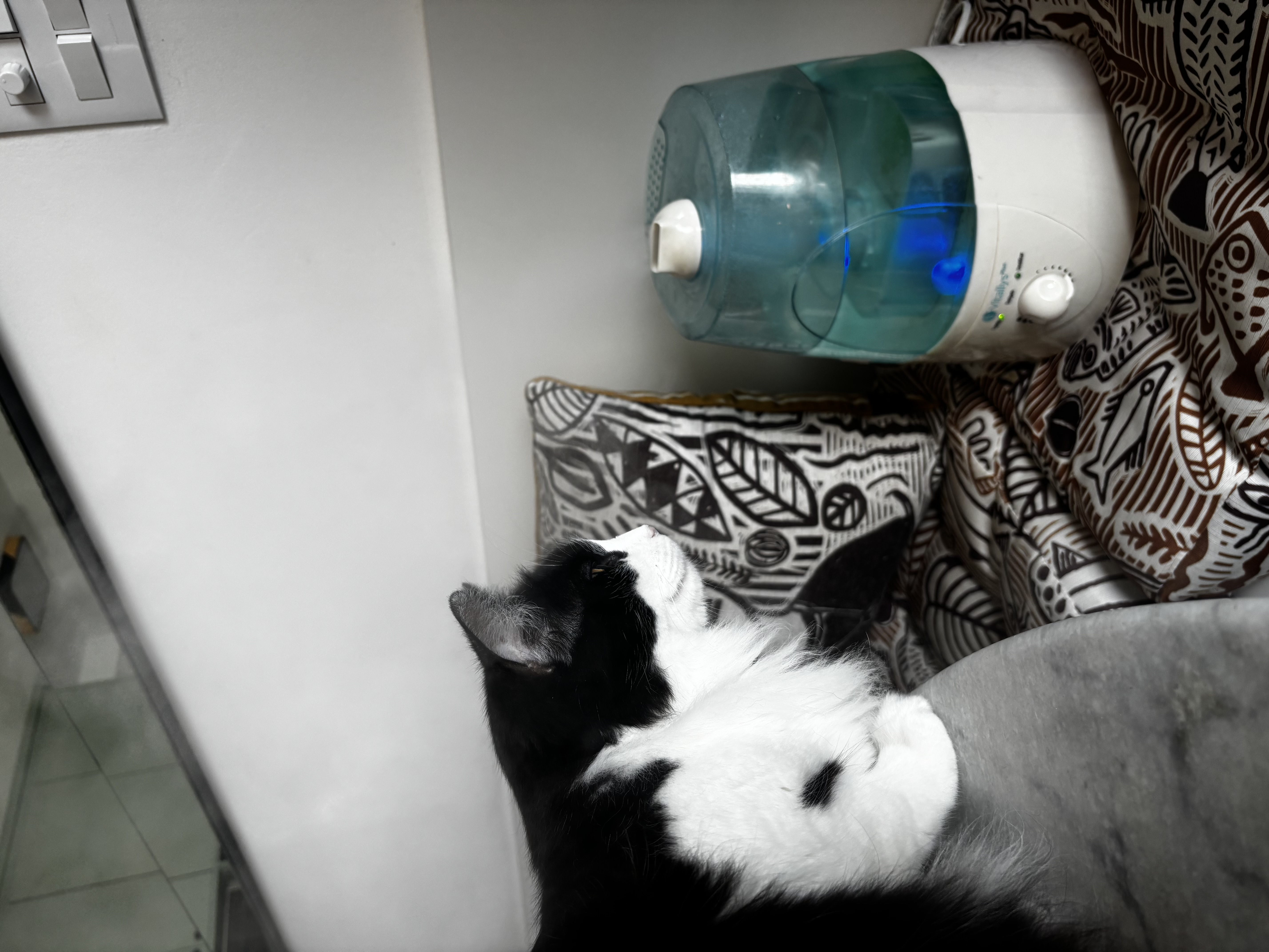 Galeria Caroline Gomes Dalmas 