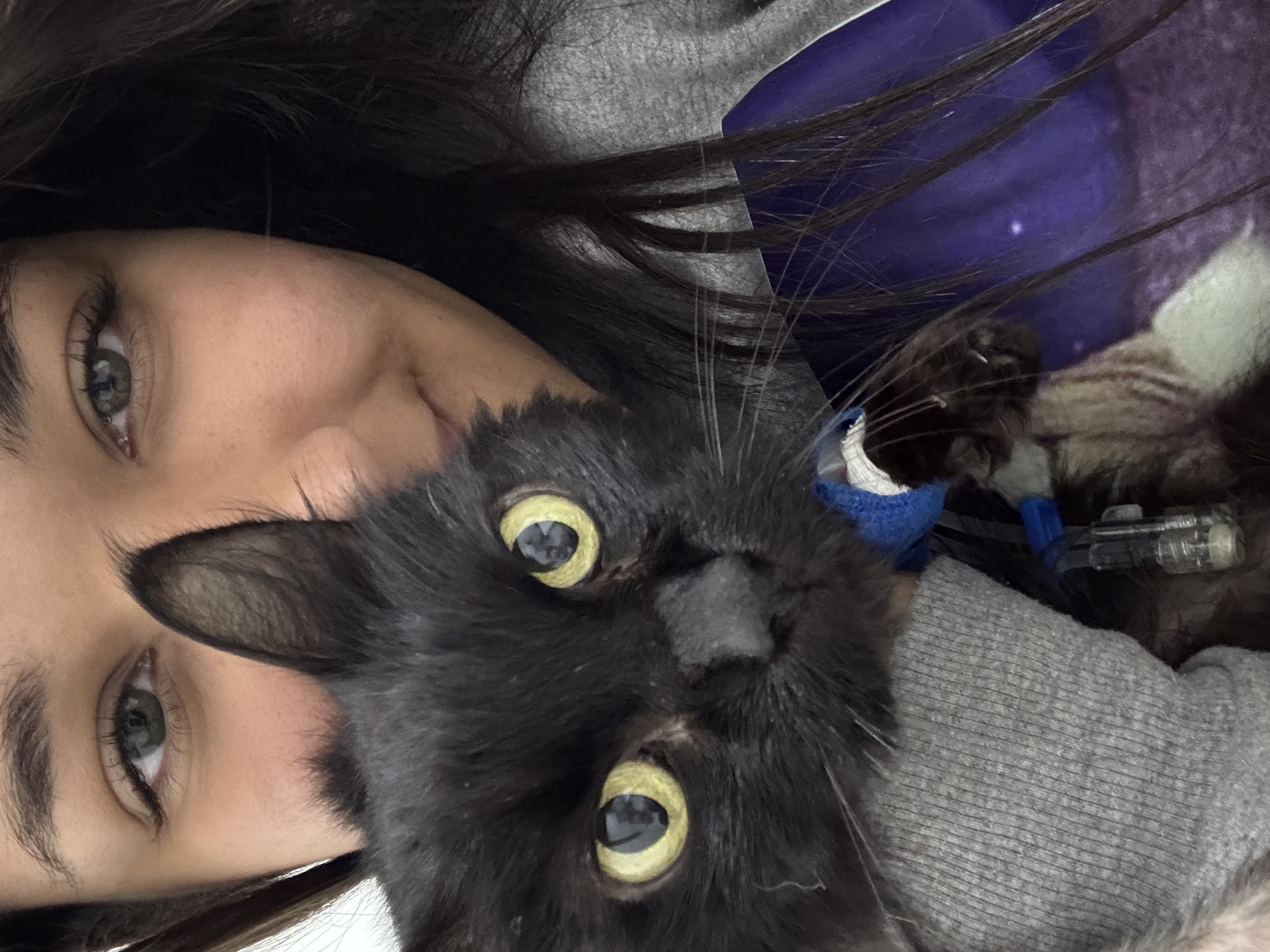 Galeria Caroline Gomes Dalmas 