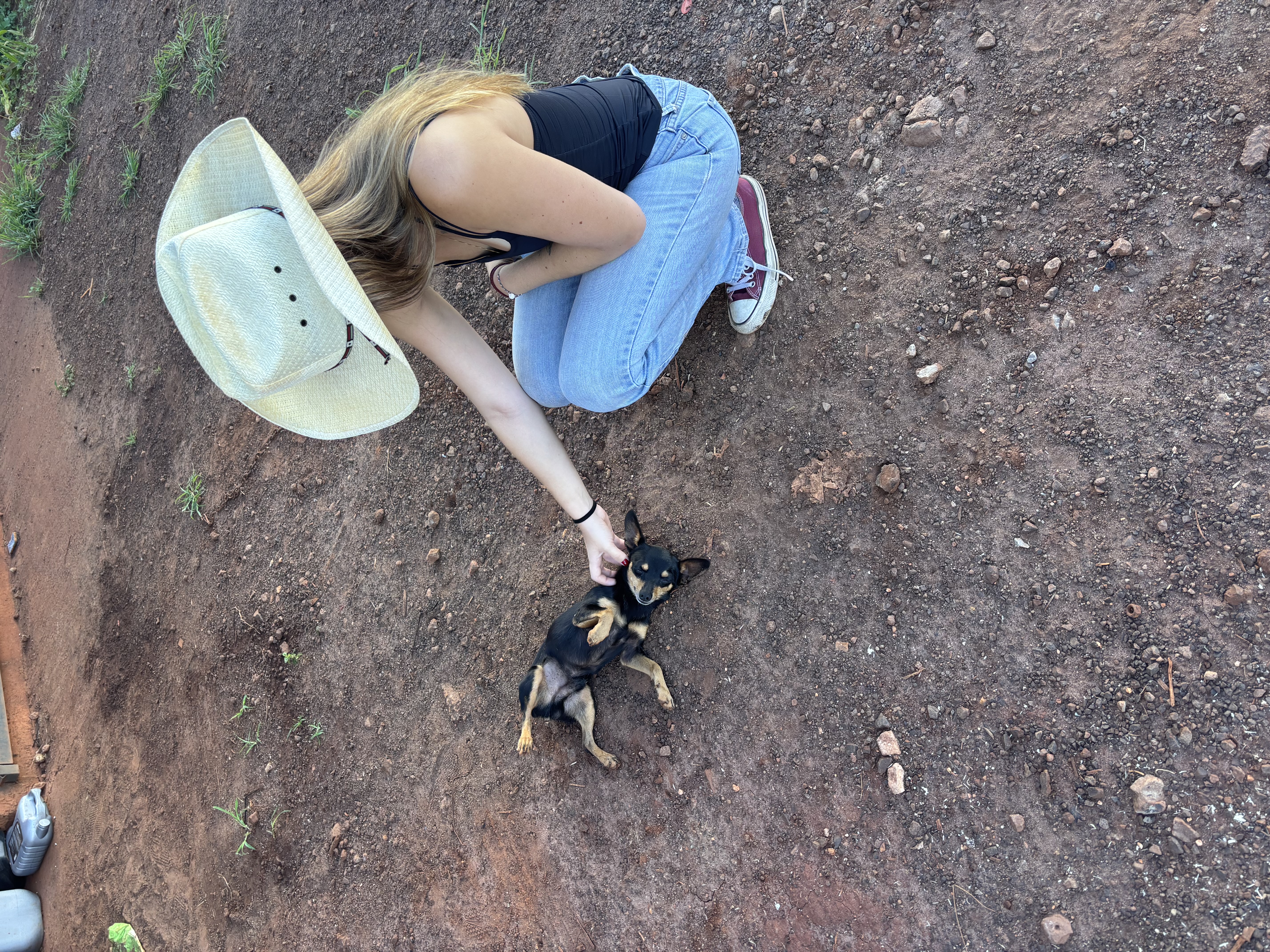 Trabalho de joana frontini — foto 6