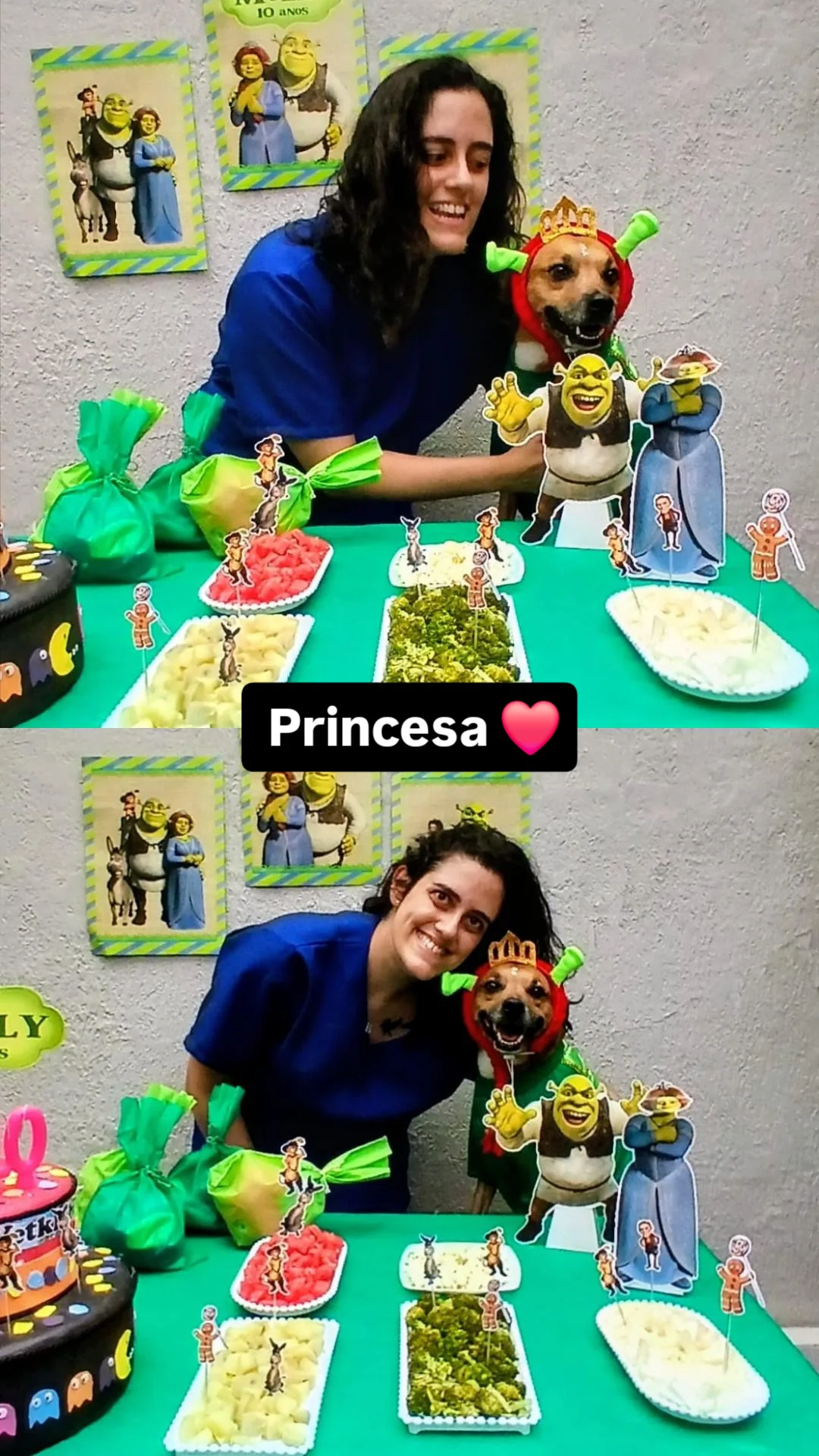 Capa Bárbara Teixeira Alves Silva