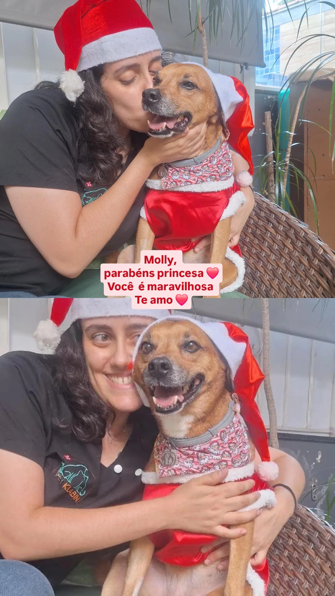 Galeria Bárbara Teixeira Alves Silva