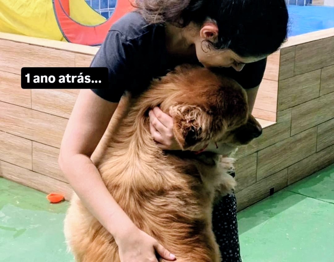 Galeria Bárbara Teixeira Alves Silva