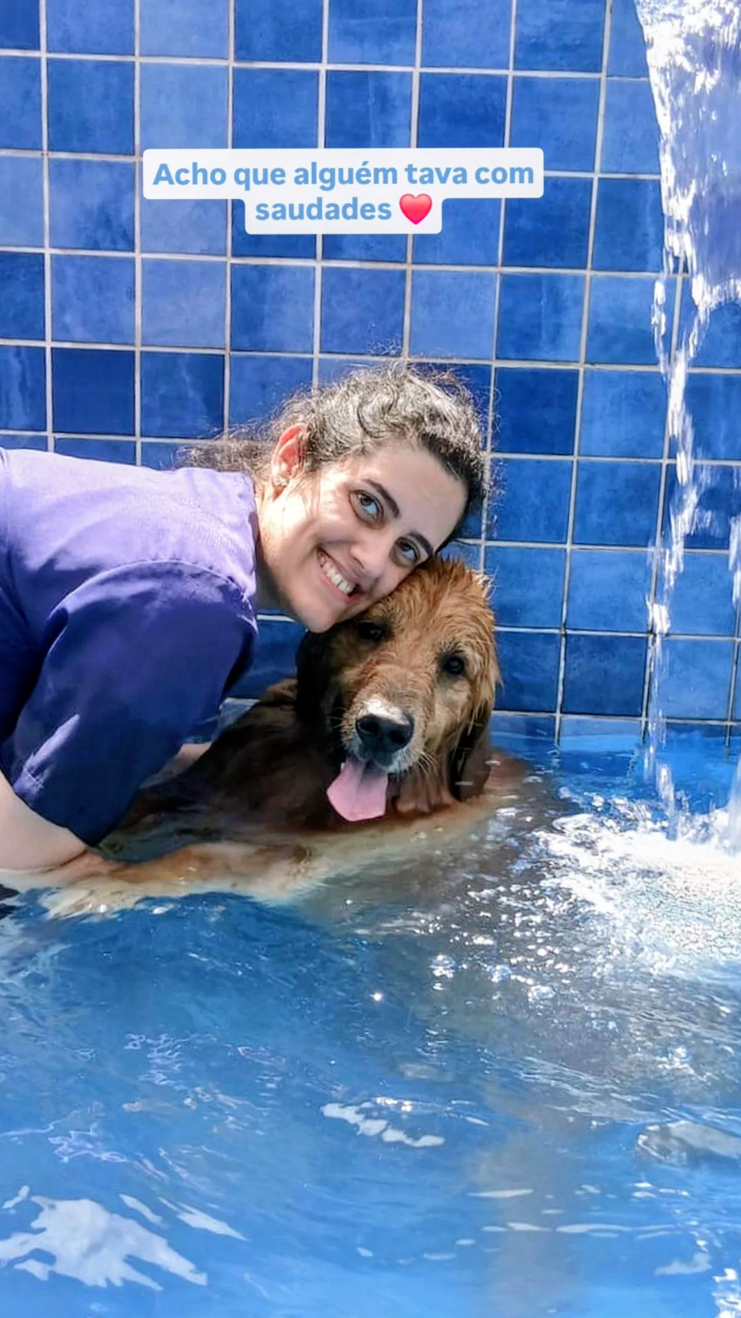 Galeria Bárbara Teixeira Alves Silva