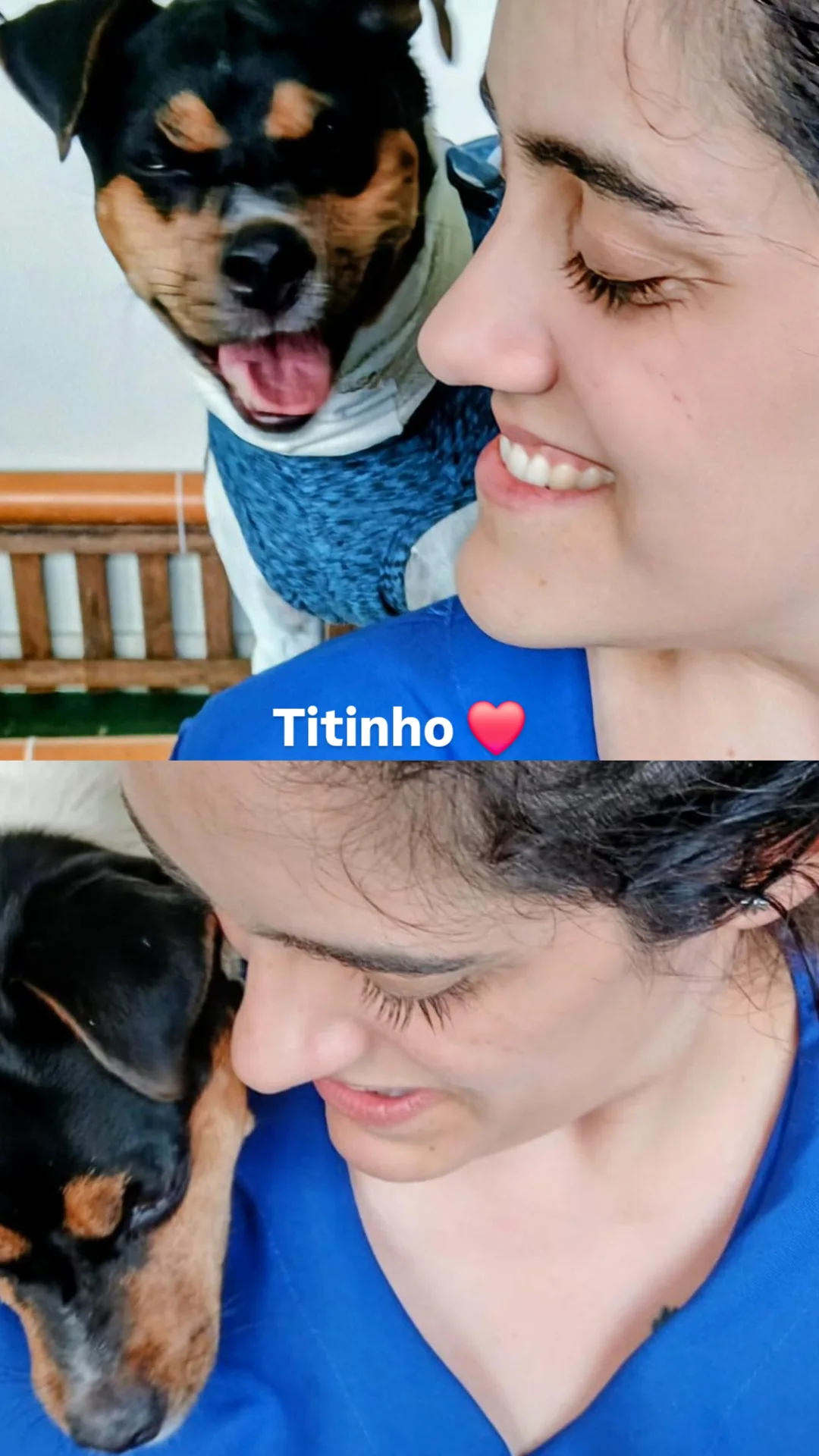 Galeria Bárbara Teixeira Alves Silva