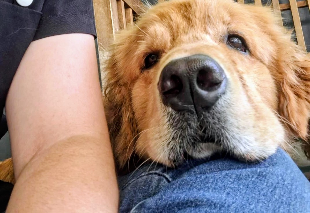 Galeria Bárbara Teixeira Alves Silva