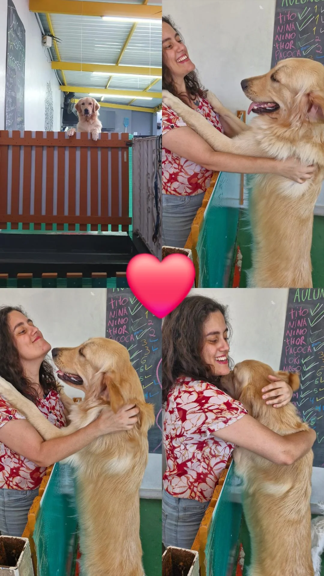 Galeria Bárbara Teixeira Alves Silva