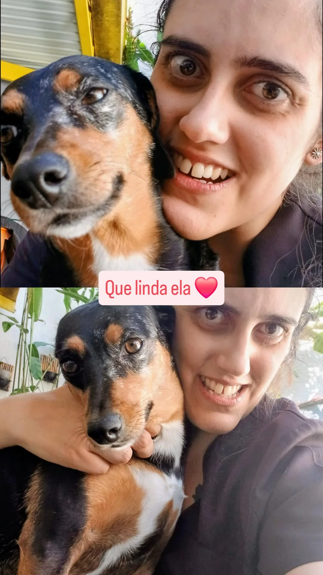 Galeria Bárbara Teixeira Alves Silva