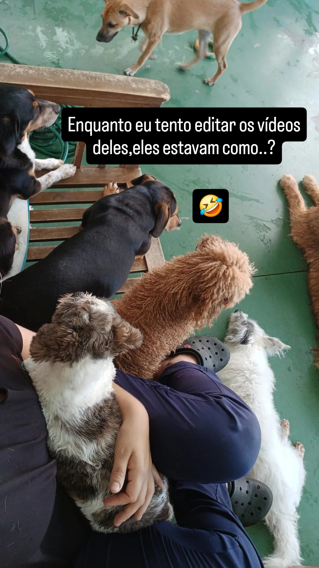 Galeria Bárbara Teixeira Alves Silva