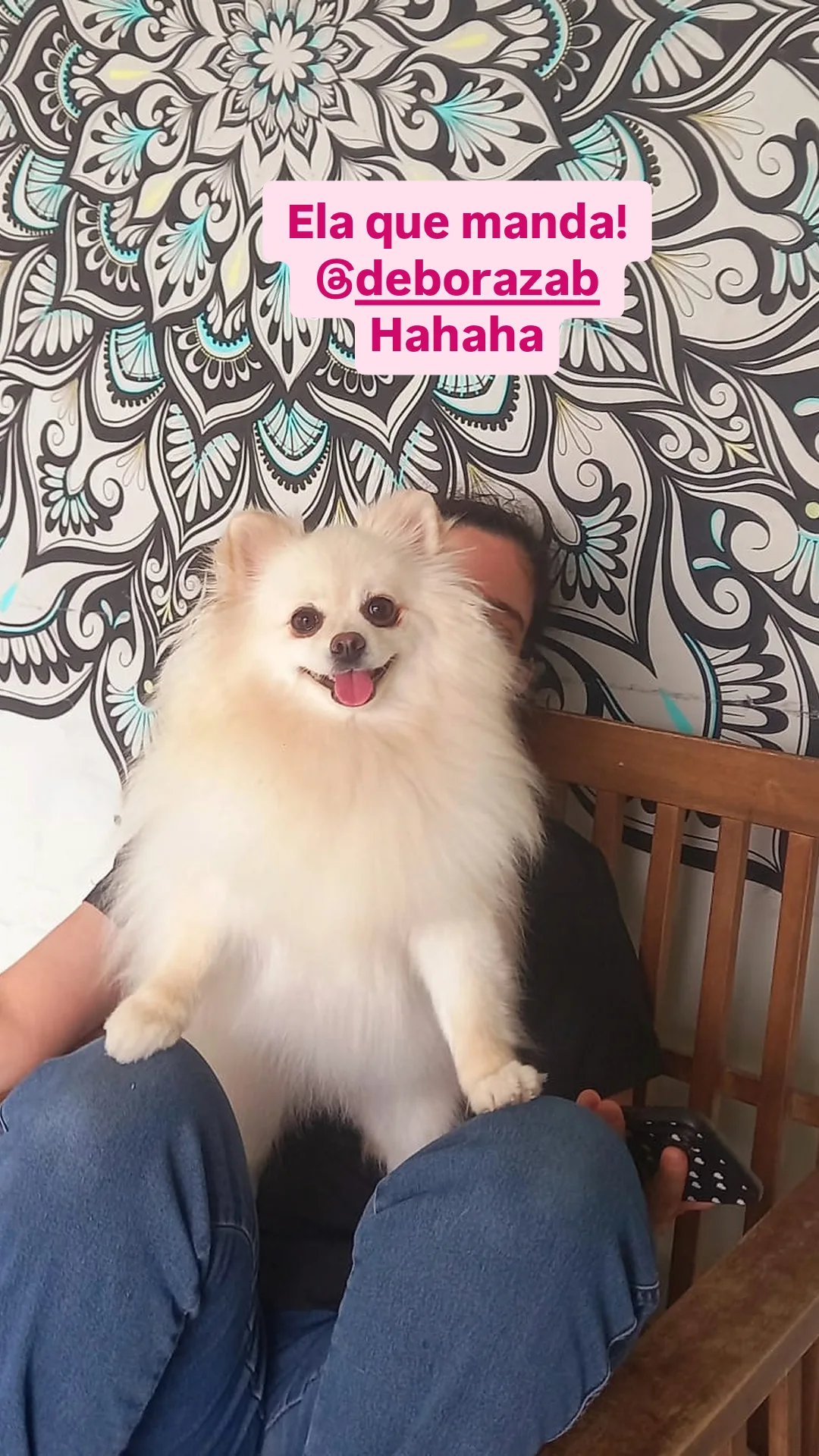 Galeria Bárbara Teixeira Alves Silva