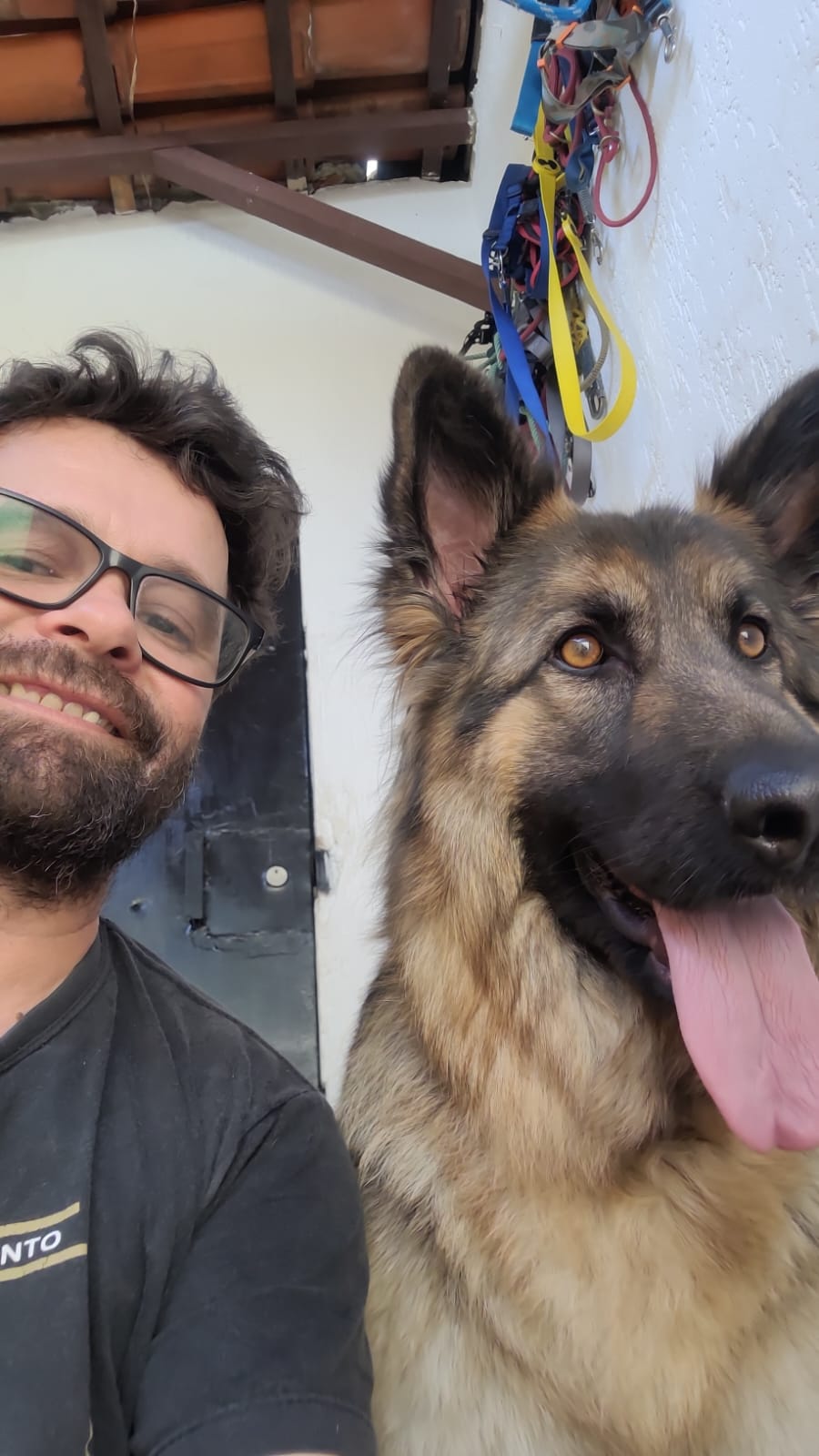 Trabalho de JOSIMAR PEREIRA — foto 11