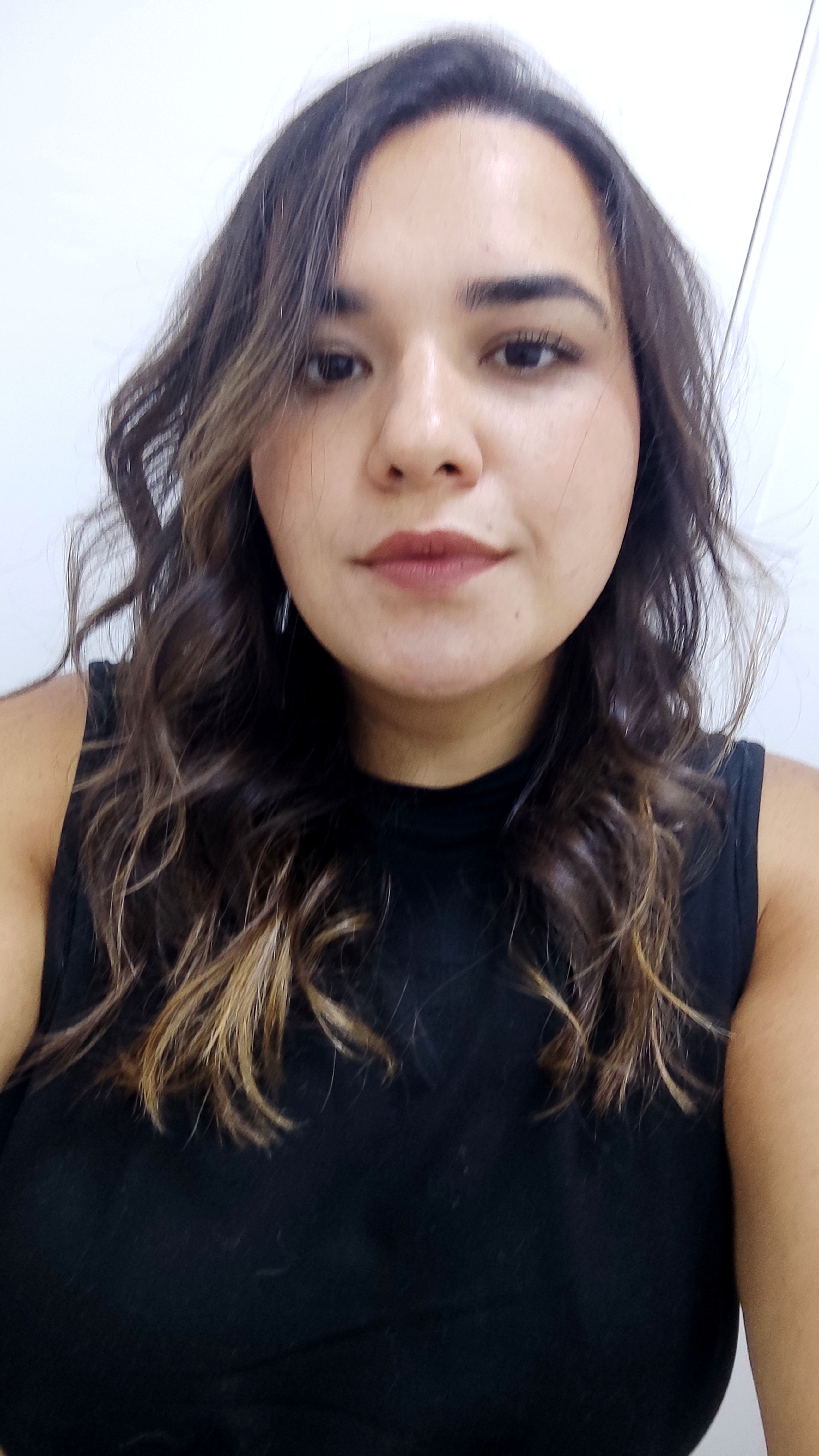 Galeria Luiza Basso Bramusse