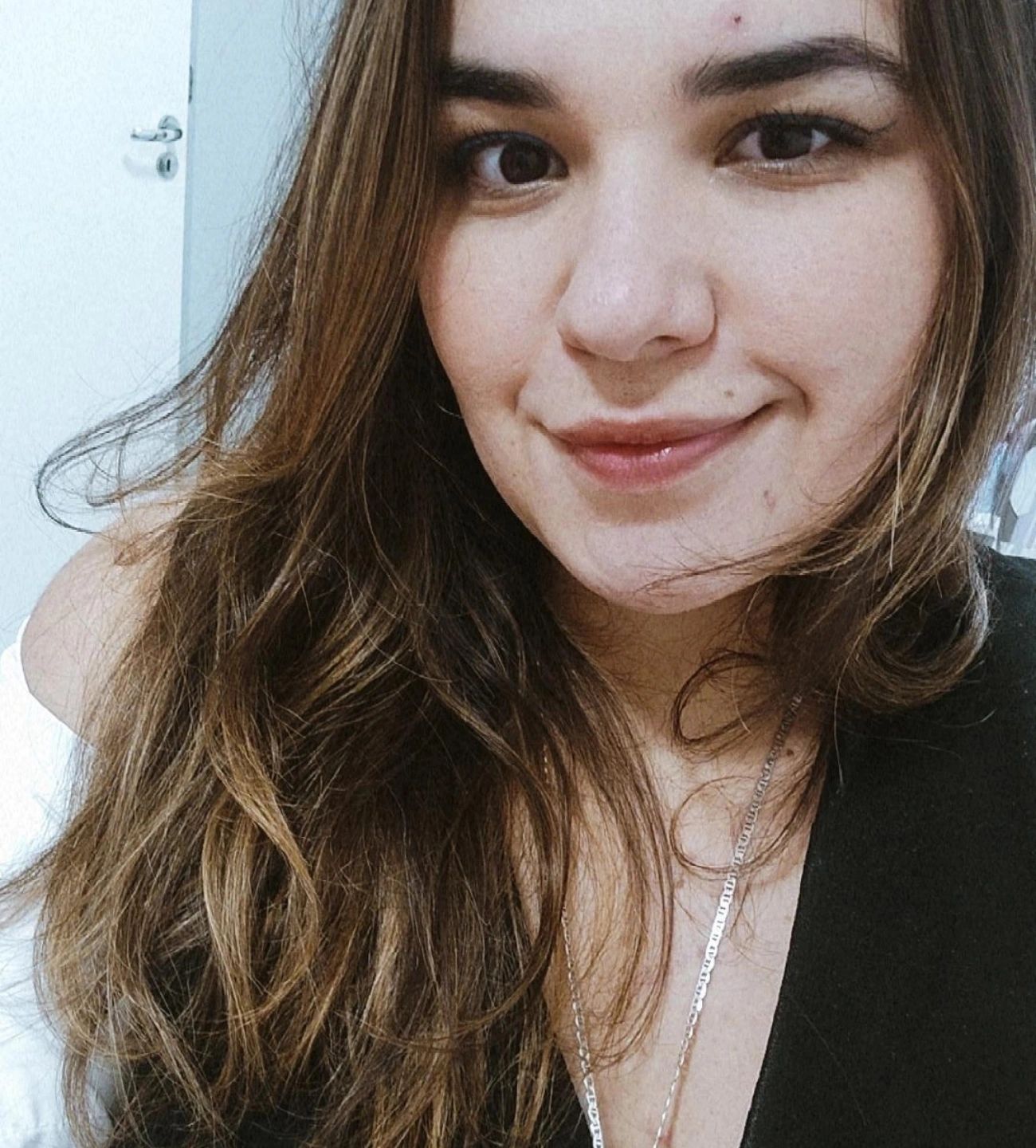 Galeria Luiza Basso Bramusse