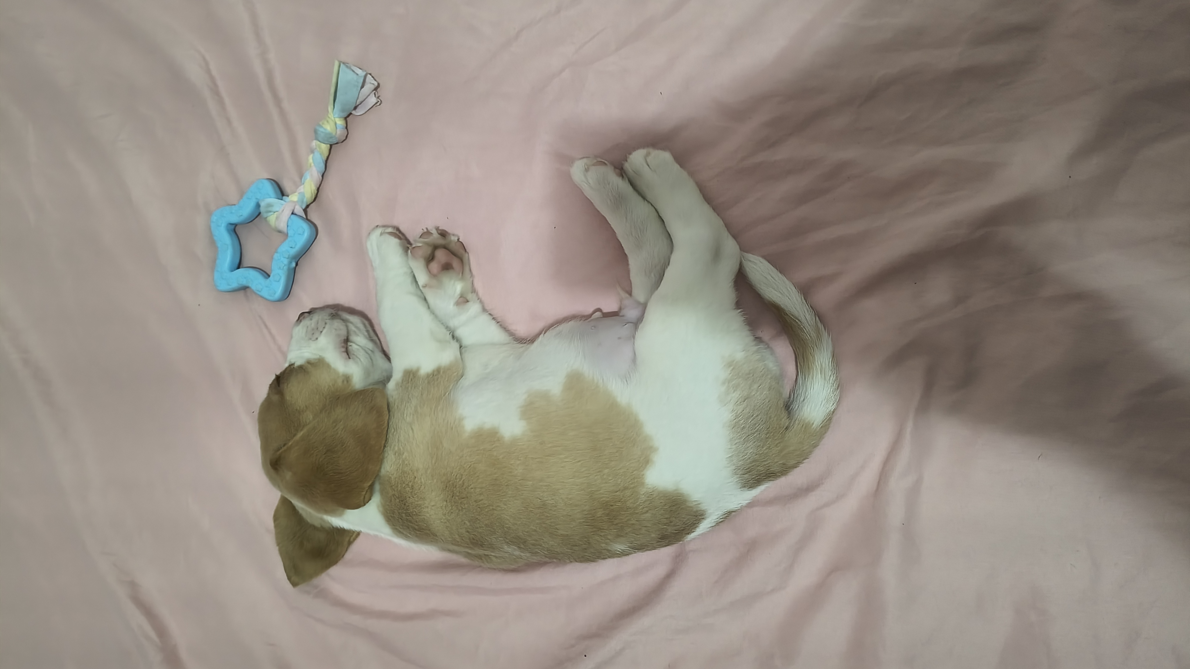 Capa Eduardo Jacques Farias