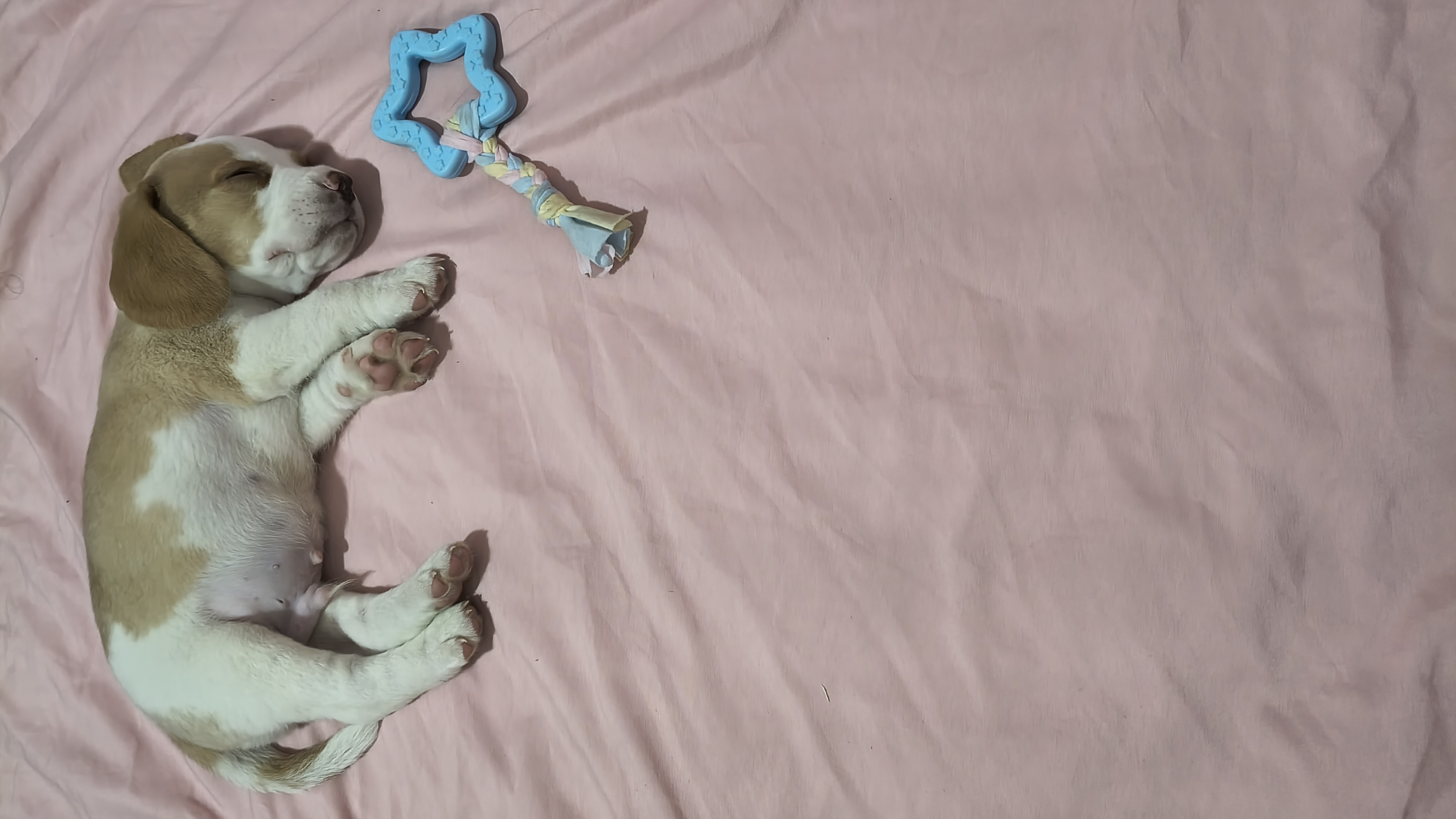 Galeria Eduardo Jacques Farias