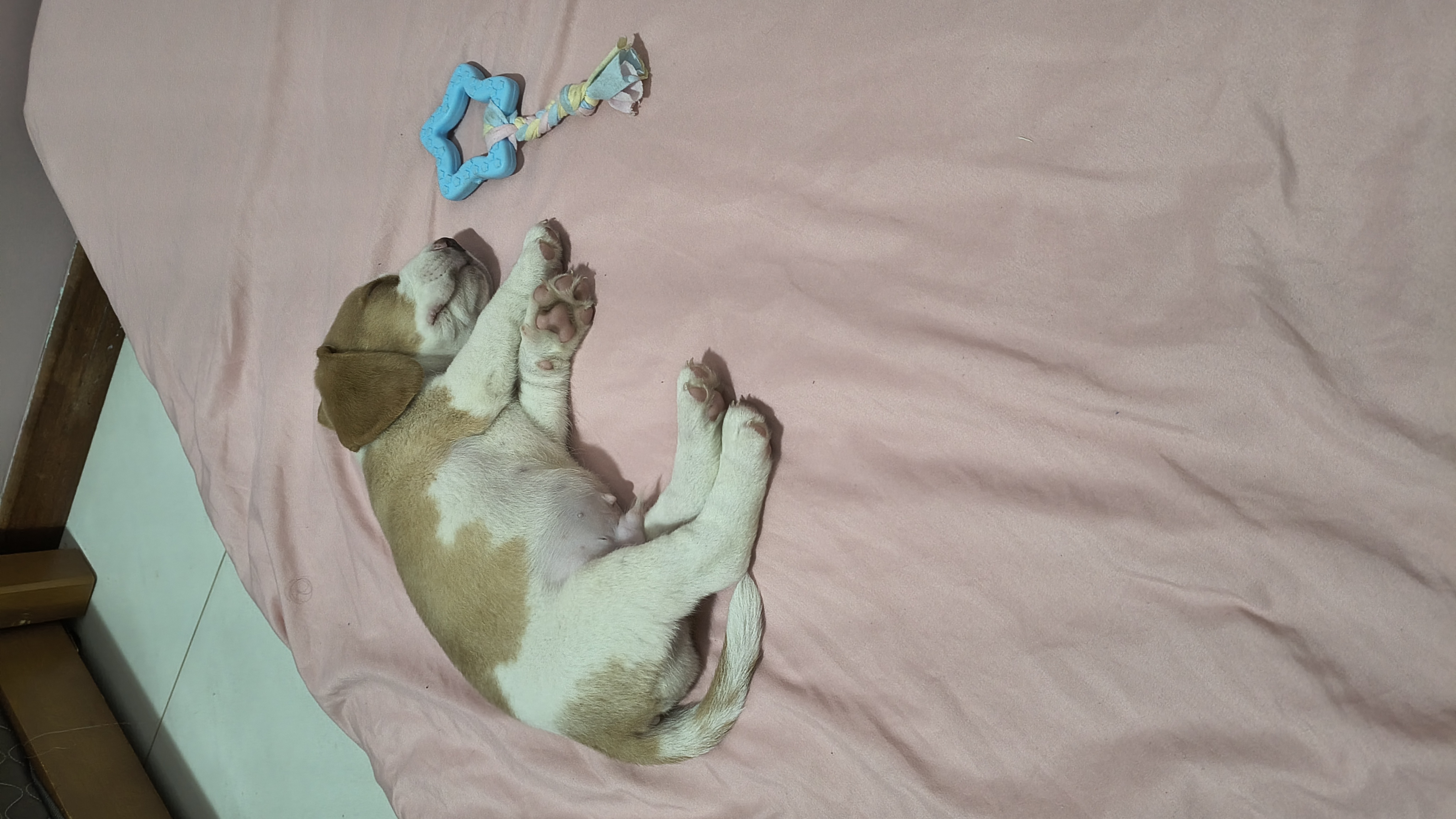 Galeria Eduardo Jacques Farias