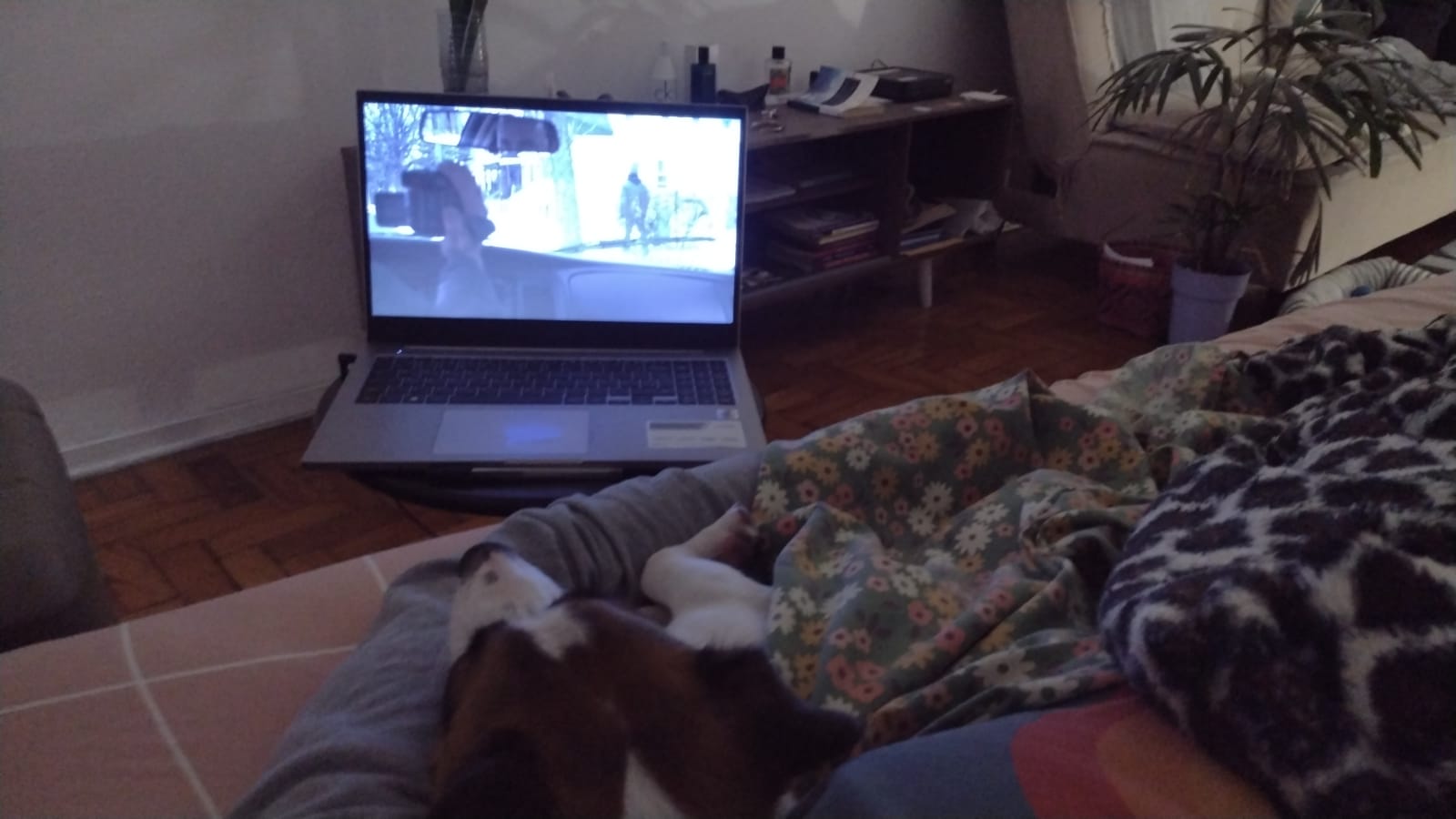 Galeria Eduardo Jacques Farias