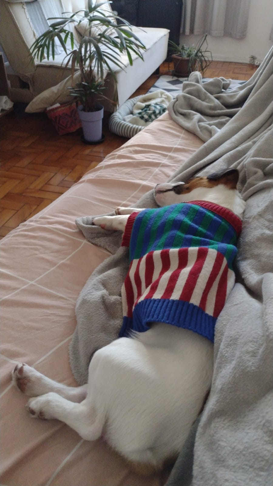 Galeria Eduardo Jacques Farias