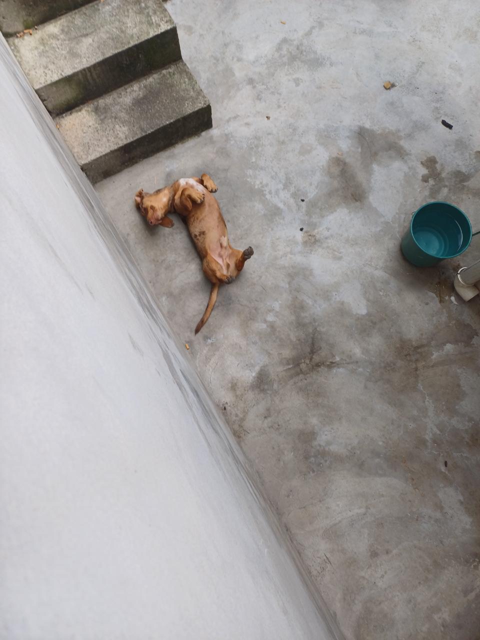 Trabalho de Nicole Aguiar — foto 4