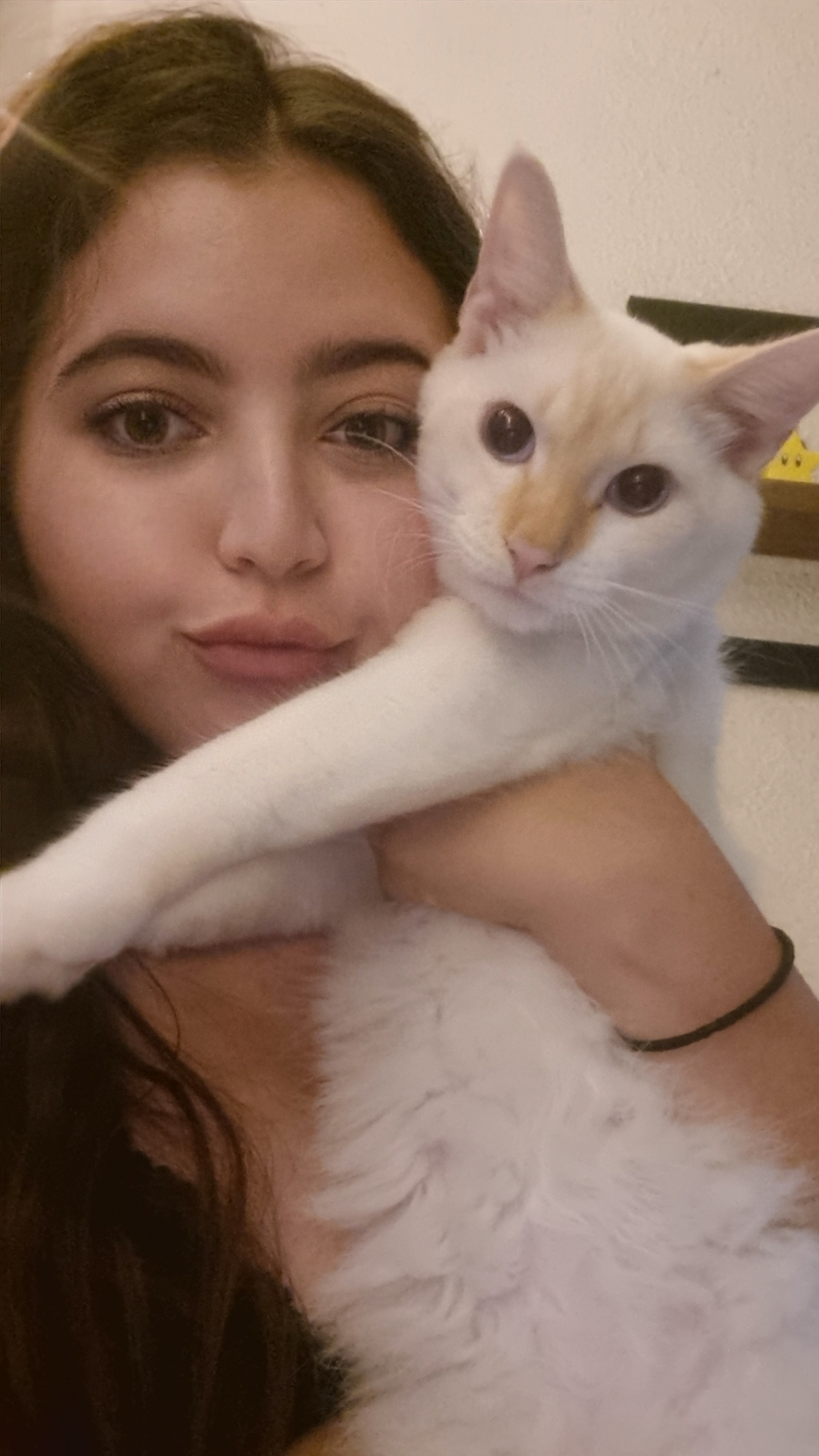 Capa Joice vendruscolo silva 