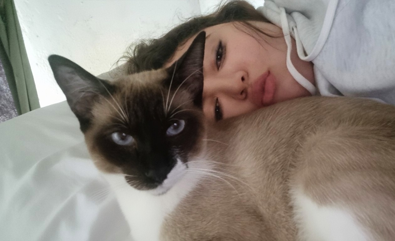 Galeria Joice vendruscolo silva 