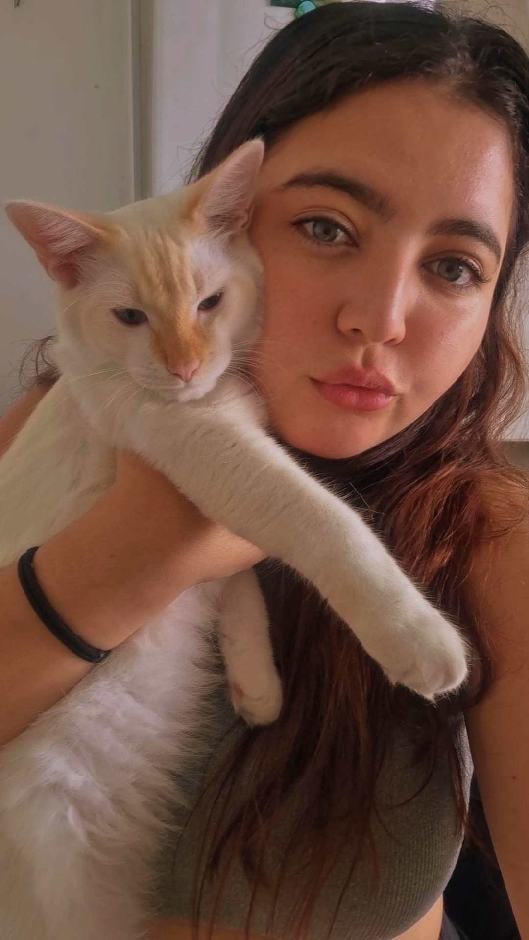 Galeria Joice vendruscolo silva 