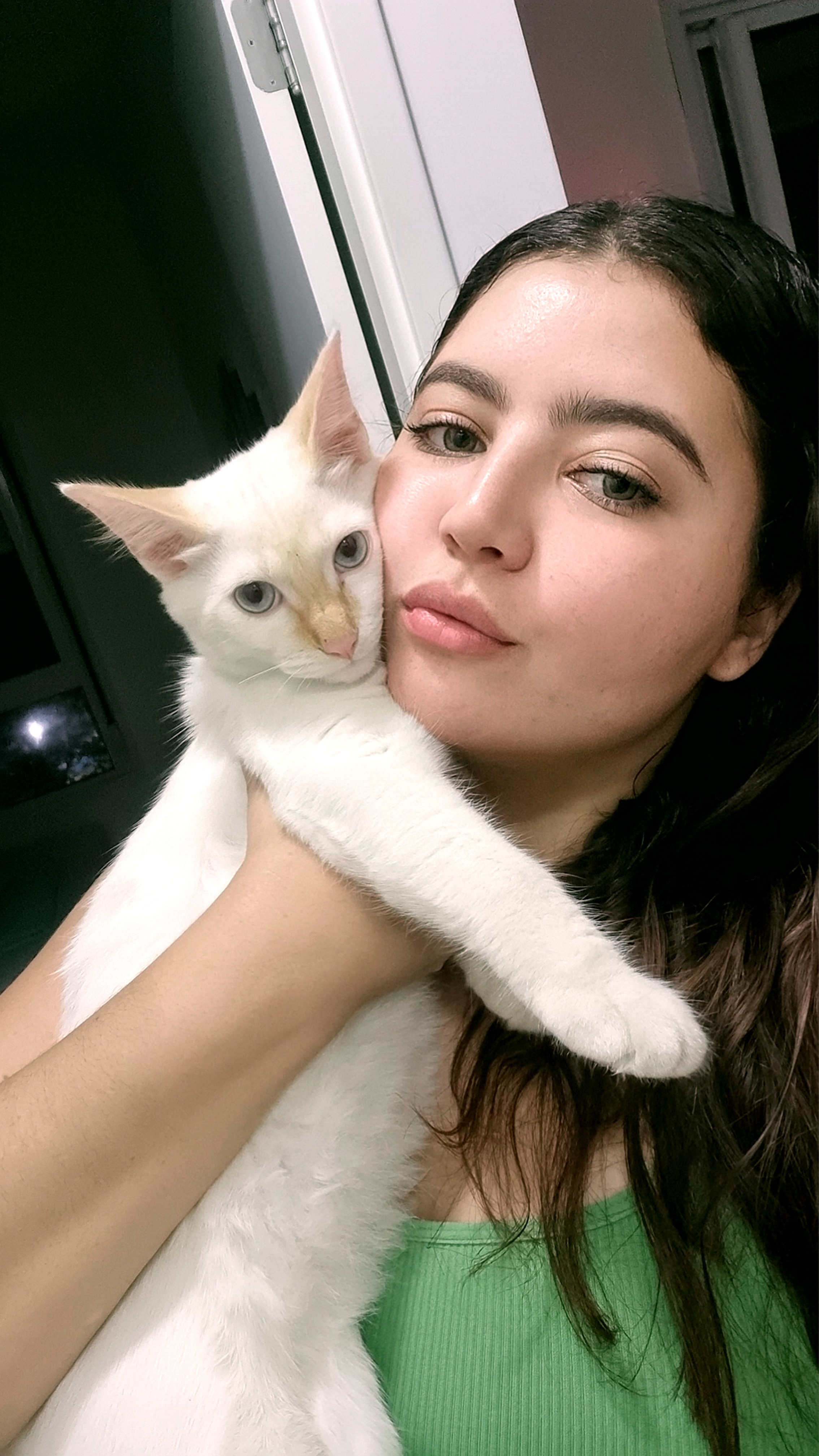 Galeria Joice vendruscolo silva 