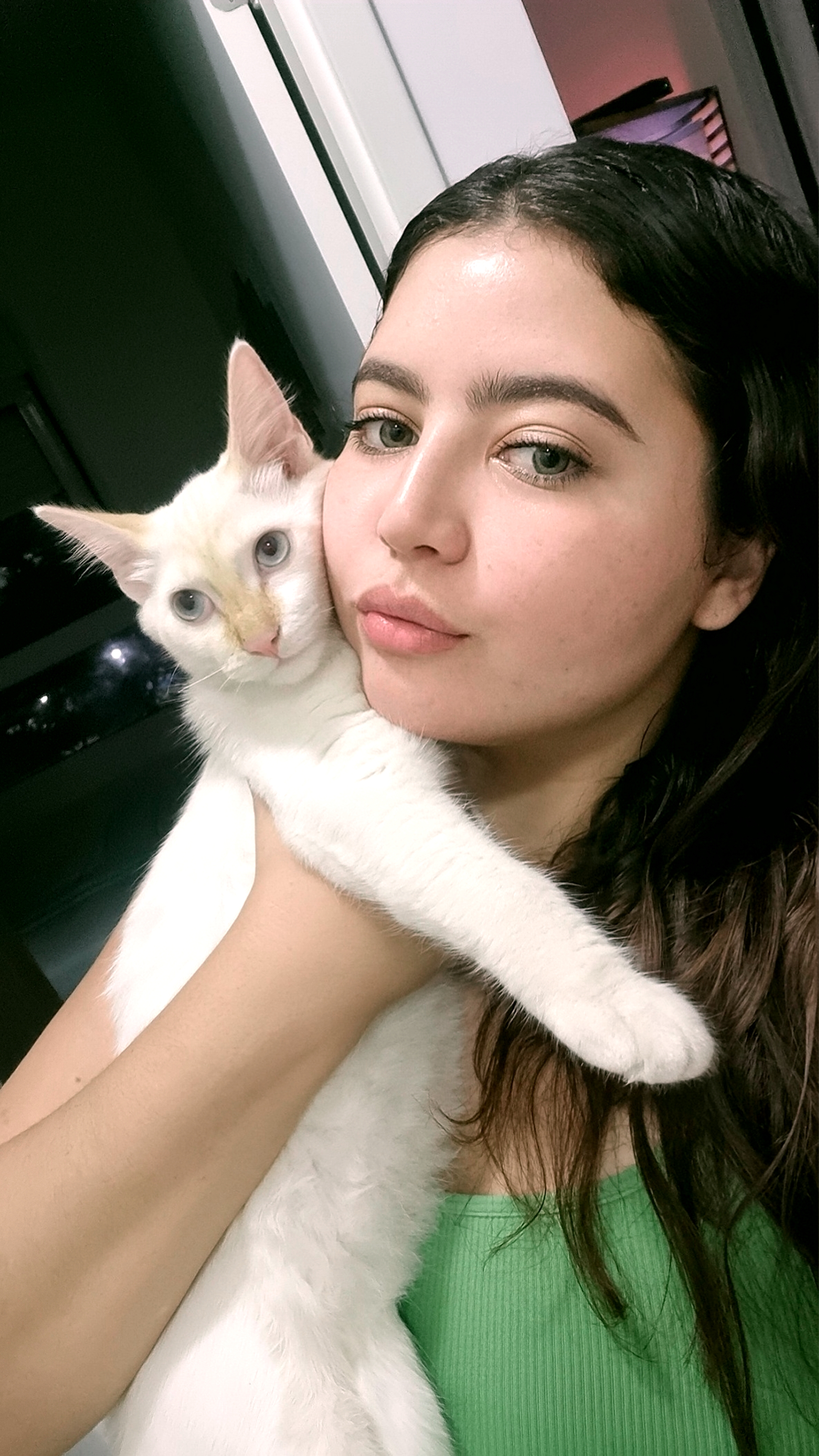 Galeria Joice vendruscolo silva 