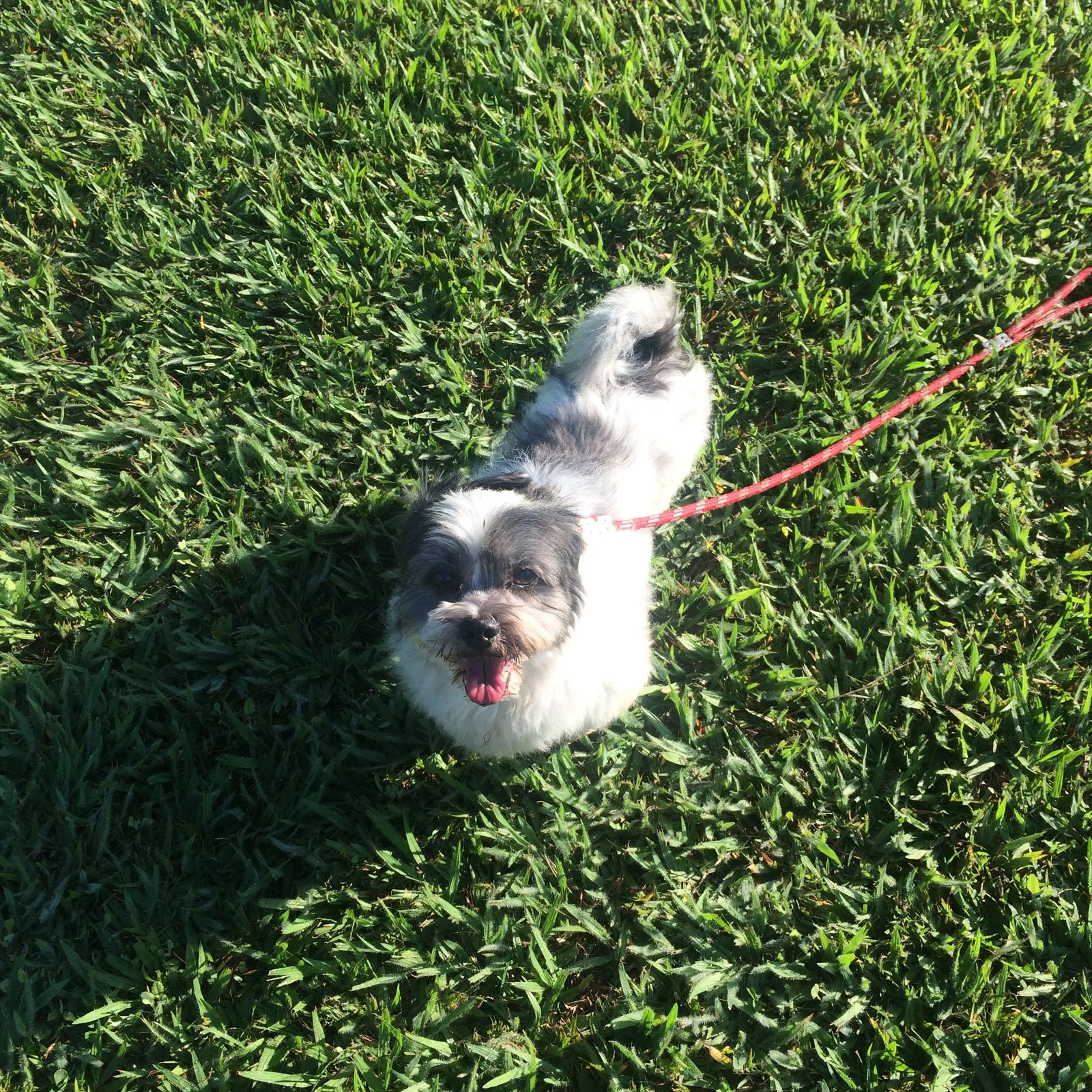 Capa Daniely de Oliveira Macedo