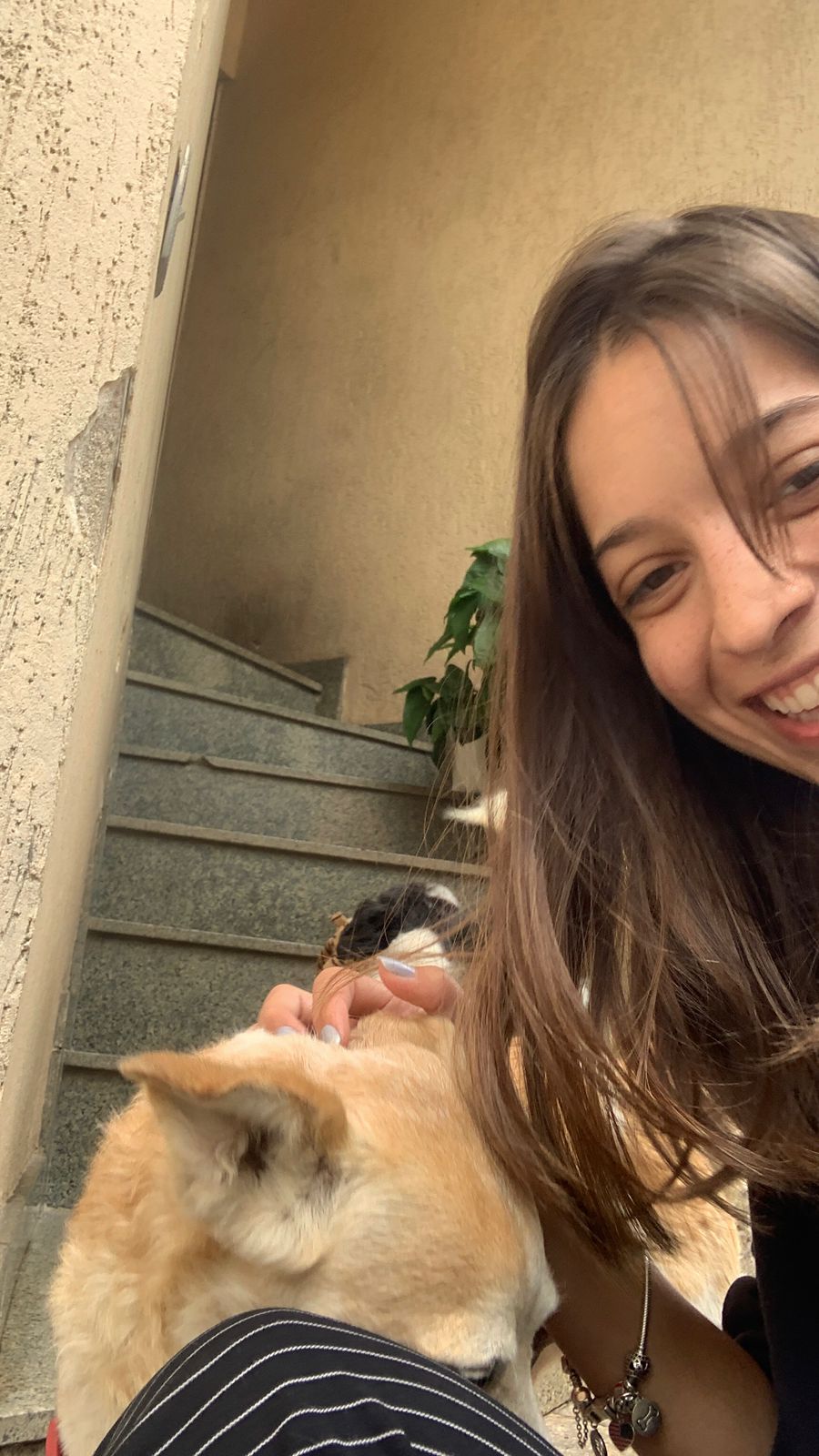 Galeria Daniely de Oliveira Macedo