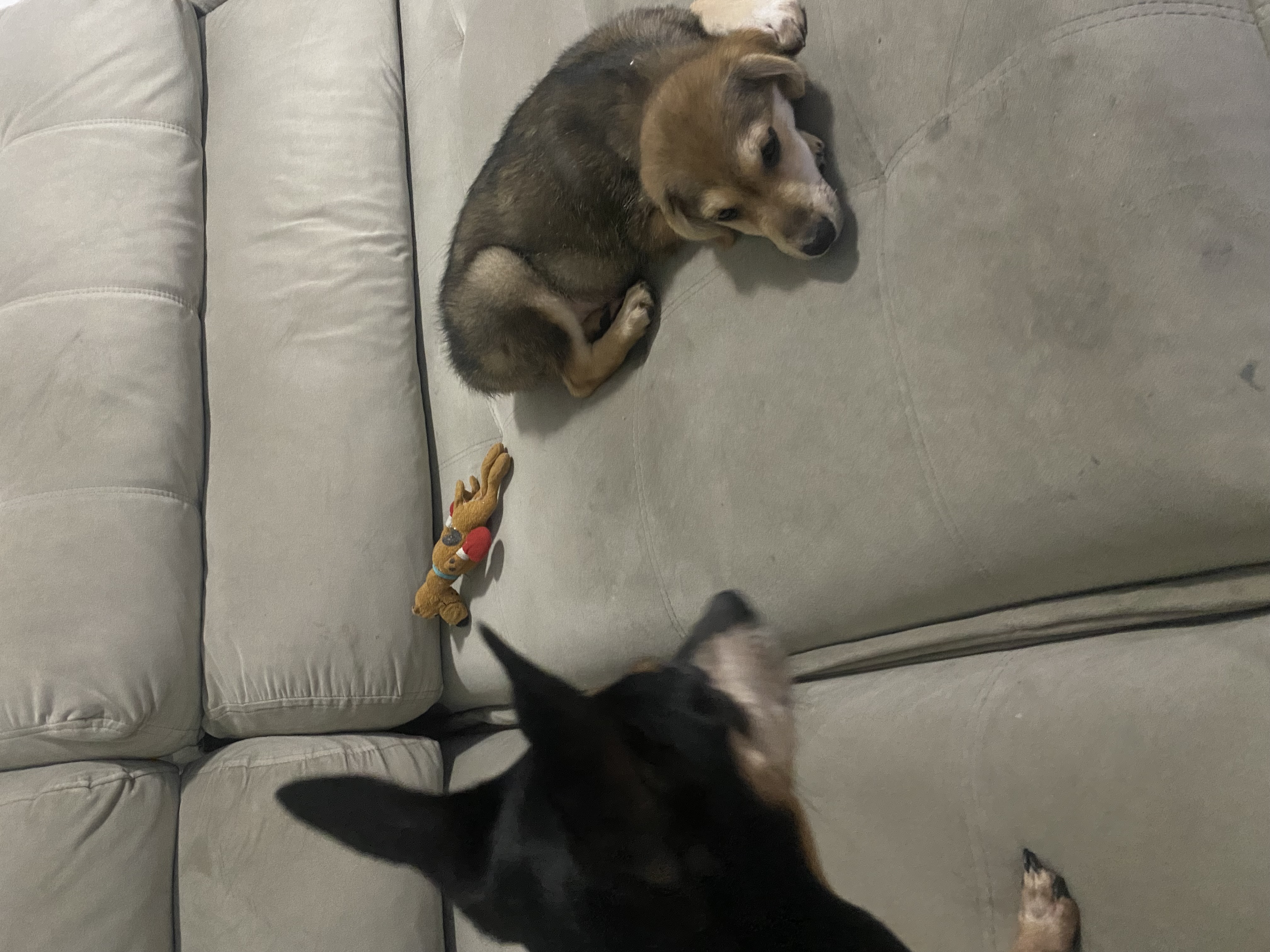 Capa Gabriela Rodrigues Faria