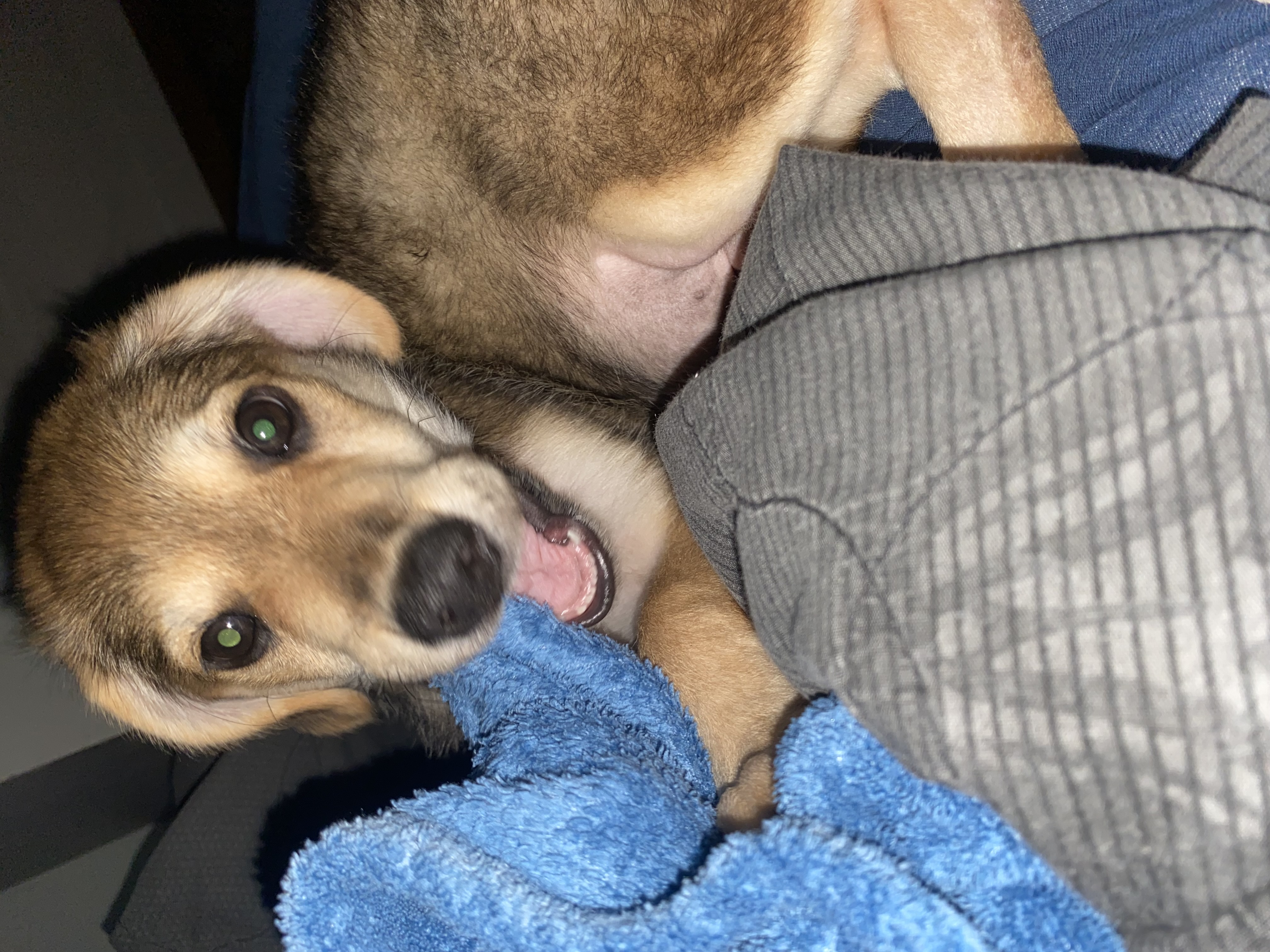 Galeria Gabriela Rodrigues Faria