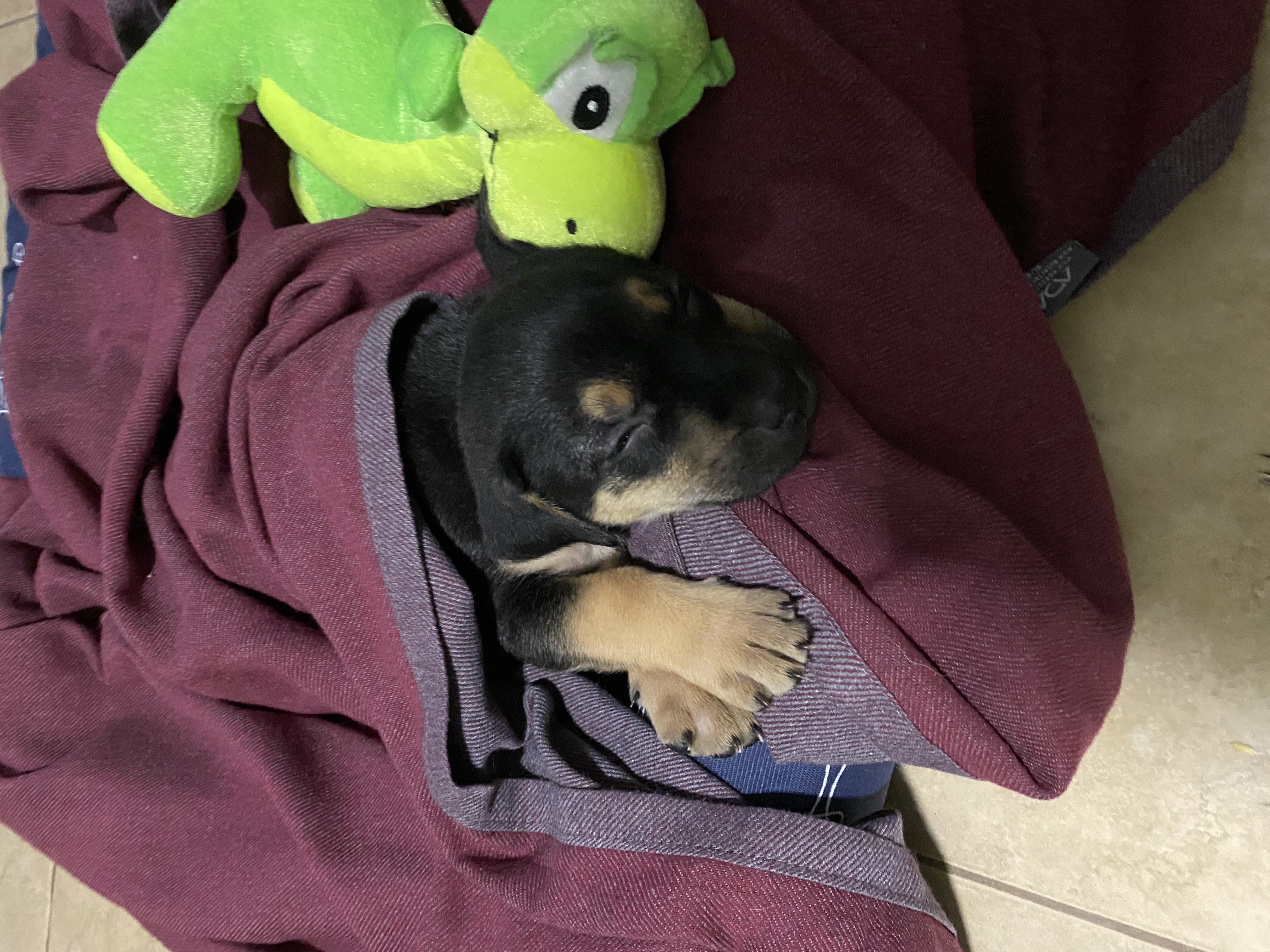 Galeria Gabriela Rodrigues Faria