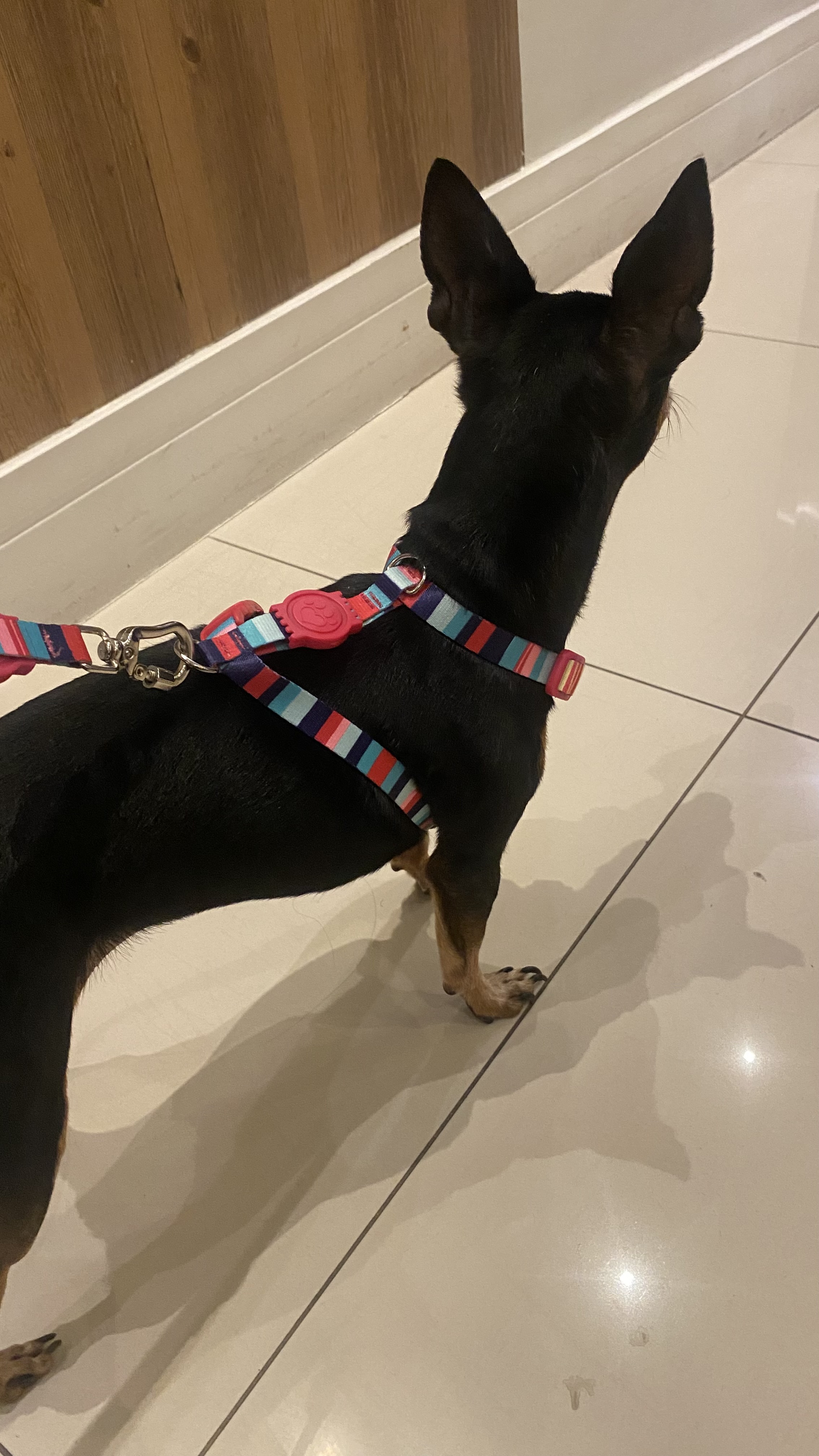 Galeria Gabriela Rodrigues Faria