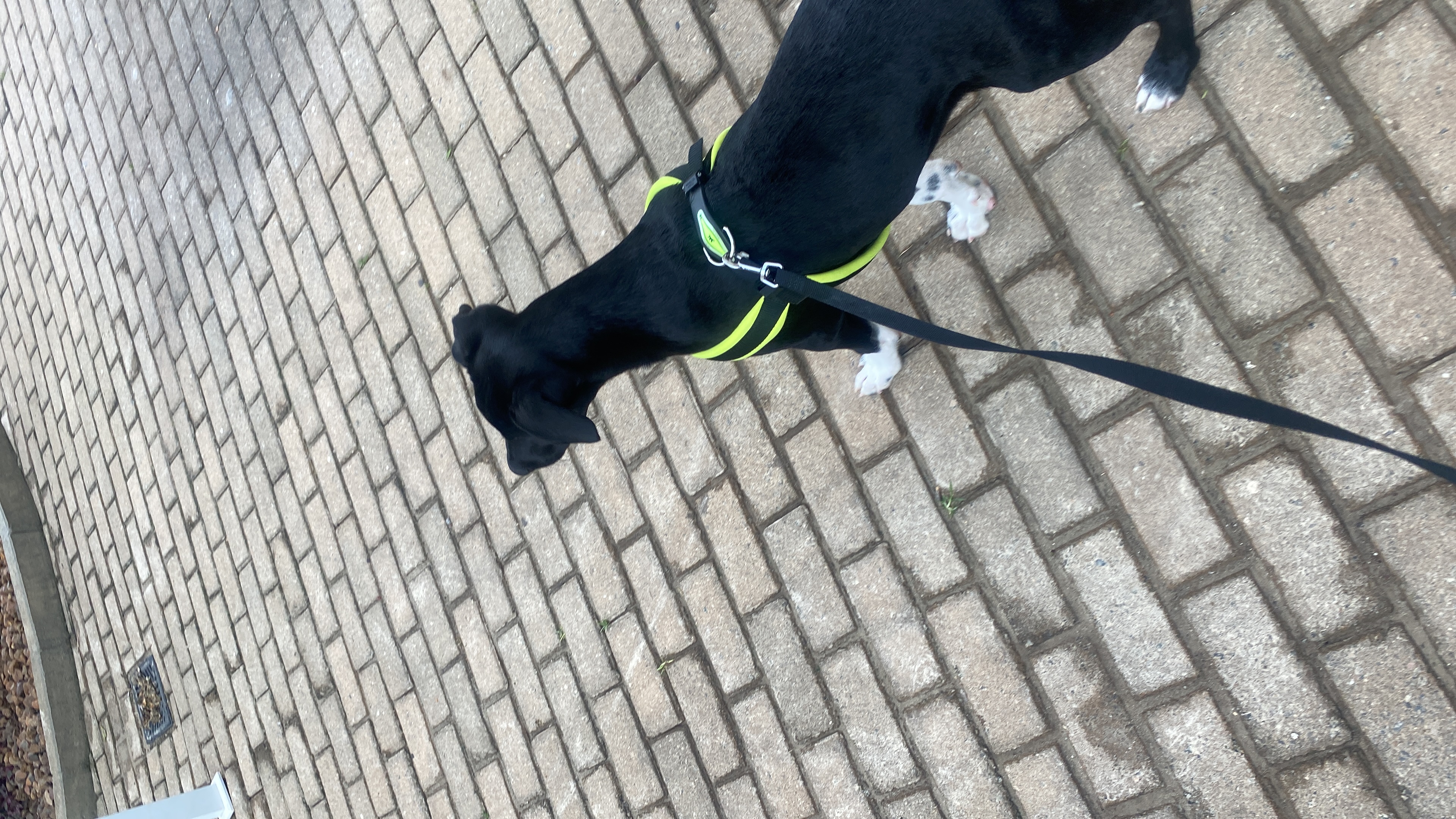 Galeria Gabriela Rodrigues Faria