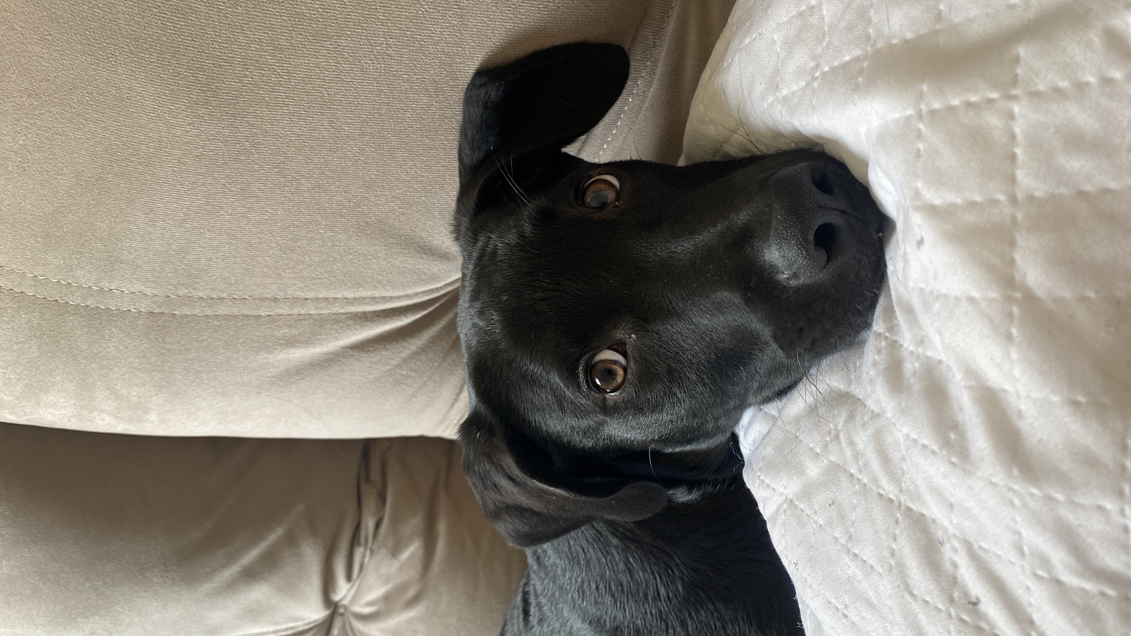 Galeria Gabriela Rodrigues Faria