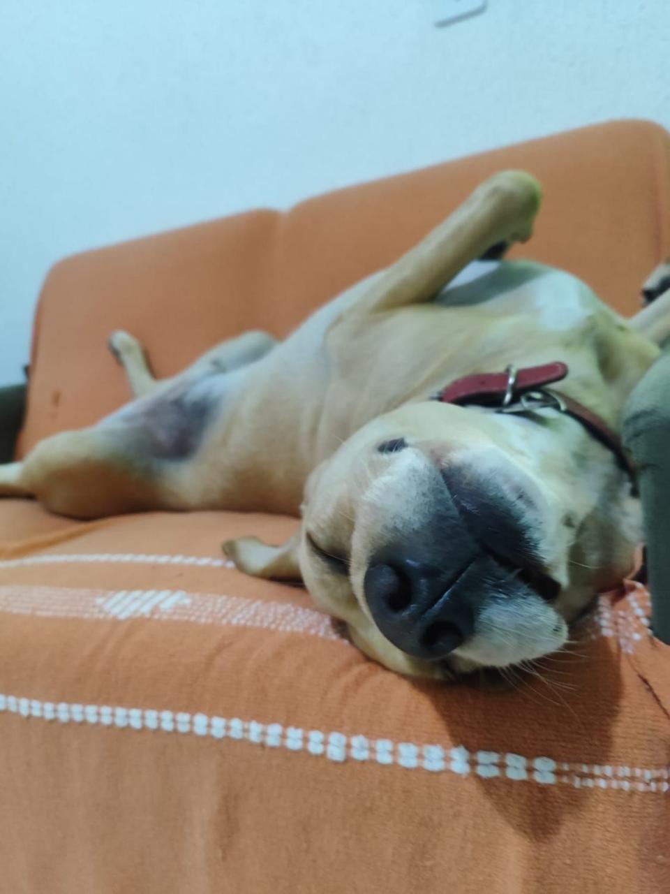 Trabalho de Iara Letícia — foto 2