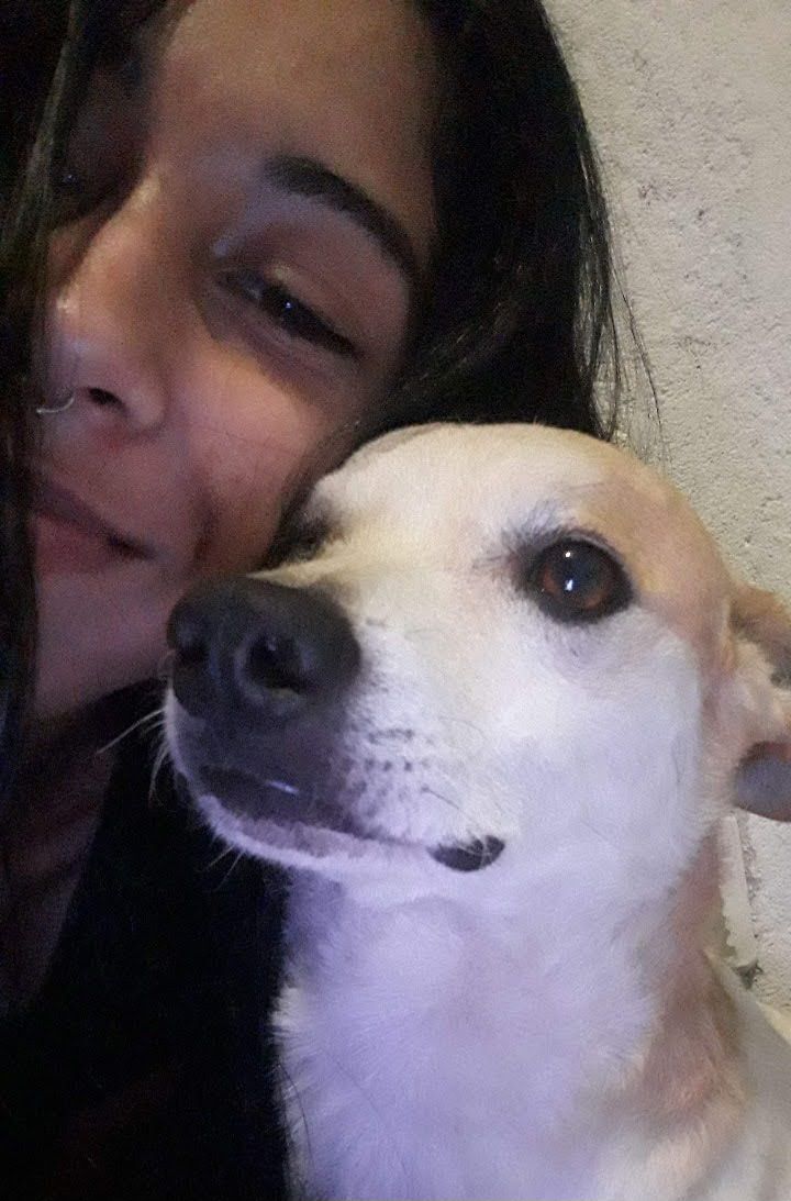 Trabalho de Iara Letícia — foto 7