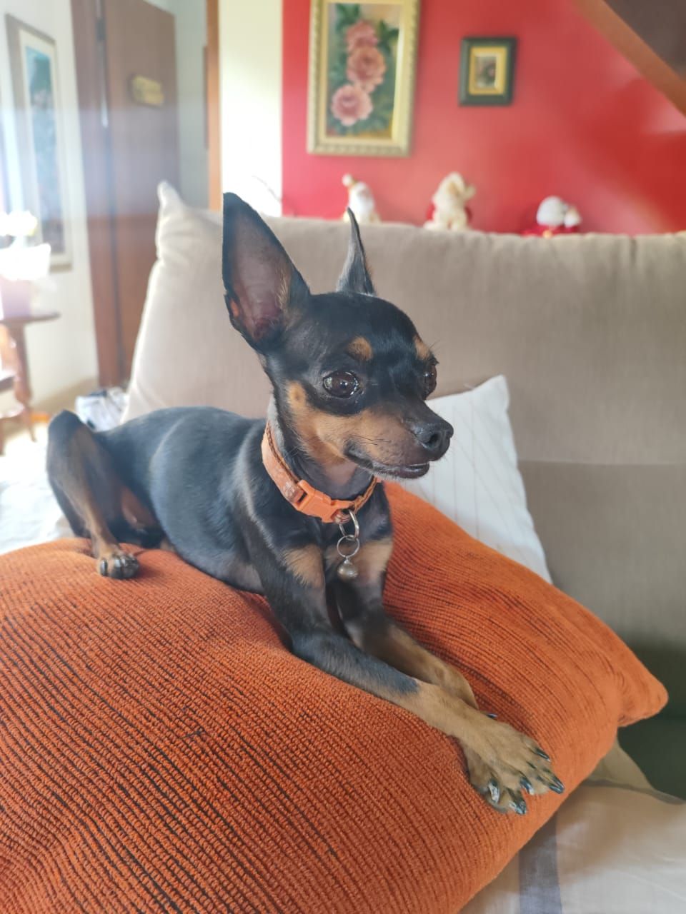 Trabalho de Iara Letícia — foto 9