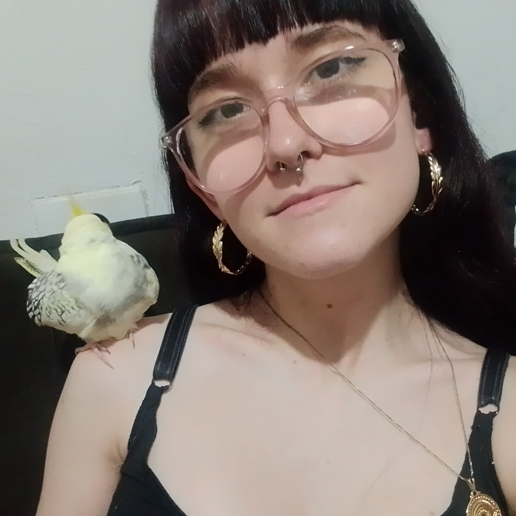 Nicolly Ferreira goncalves