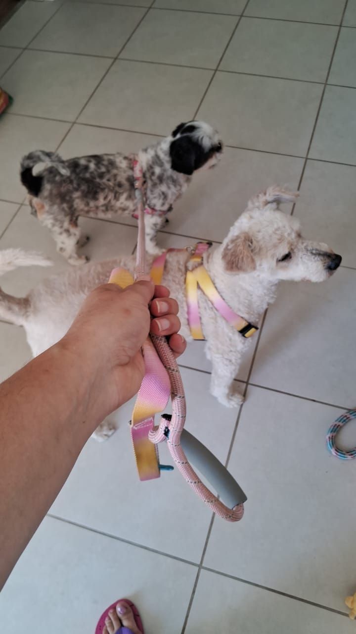 Trabalho de Aline Barros — foto 2