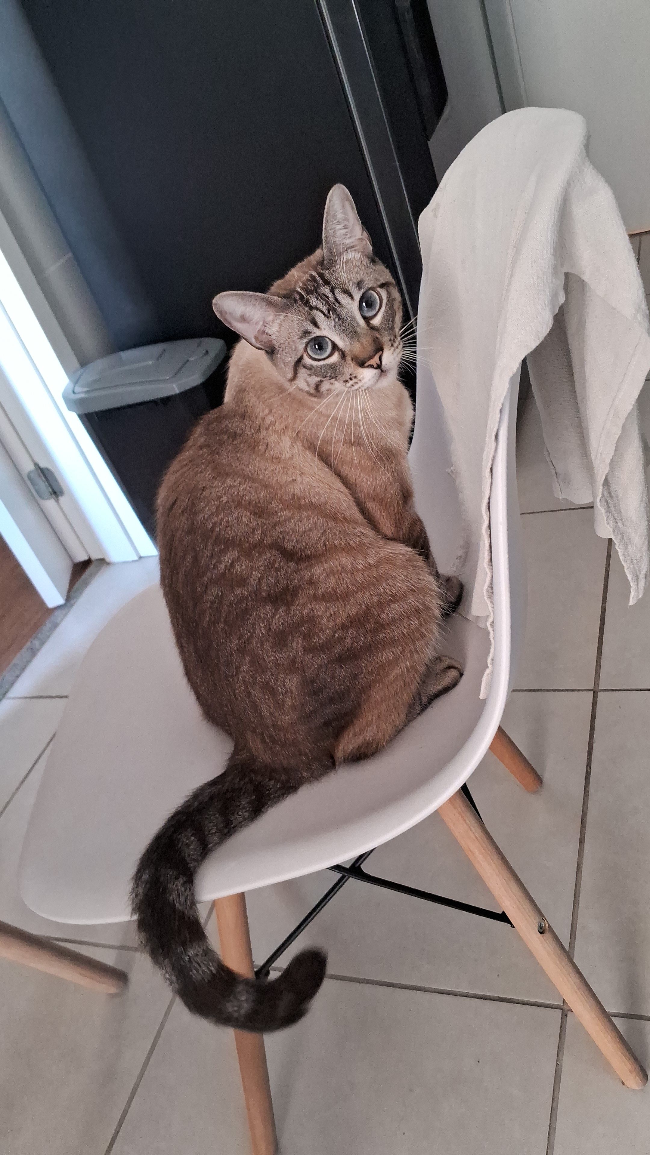 Trabalho de Aline Barros — foto 4