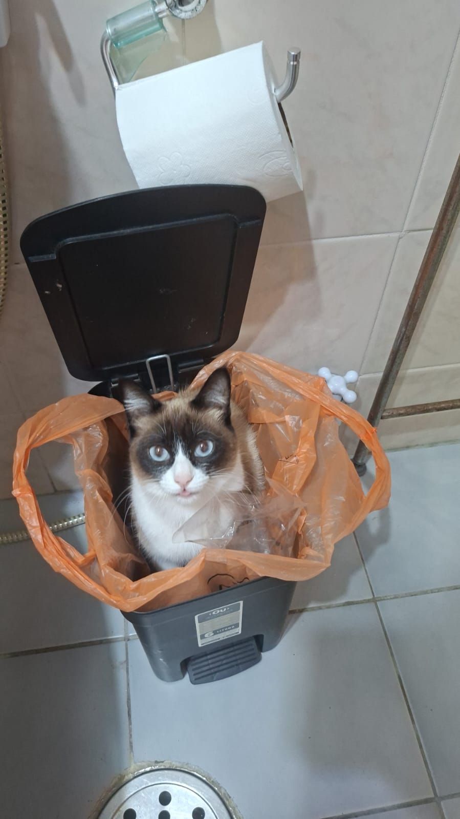 Trabalho de Aline Barros — foto 11