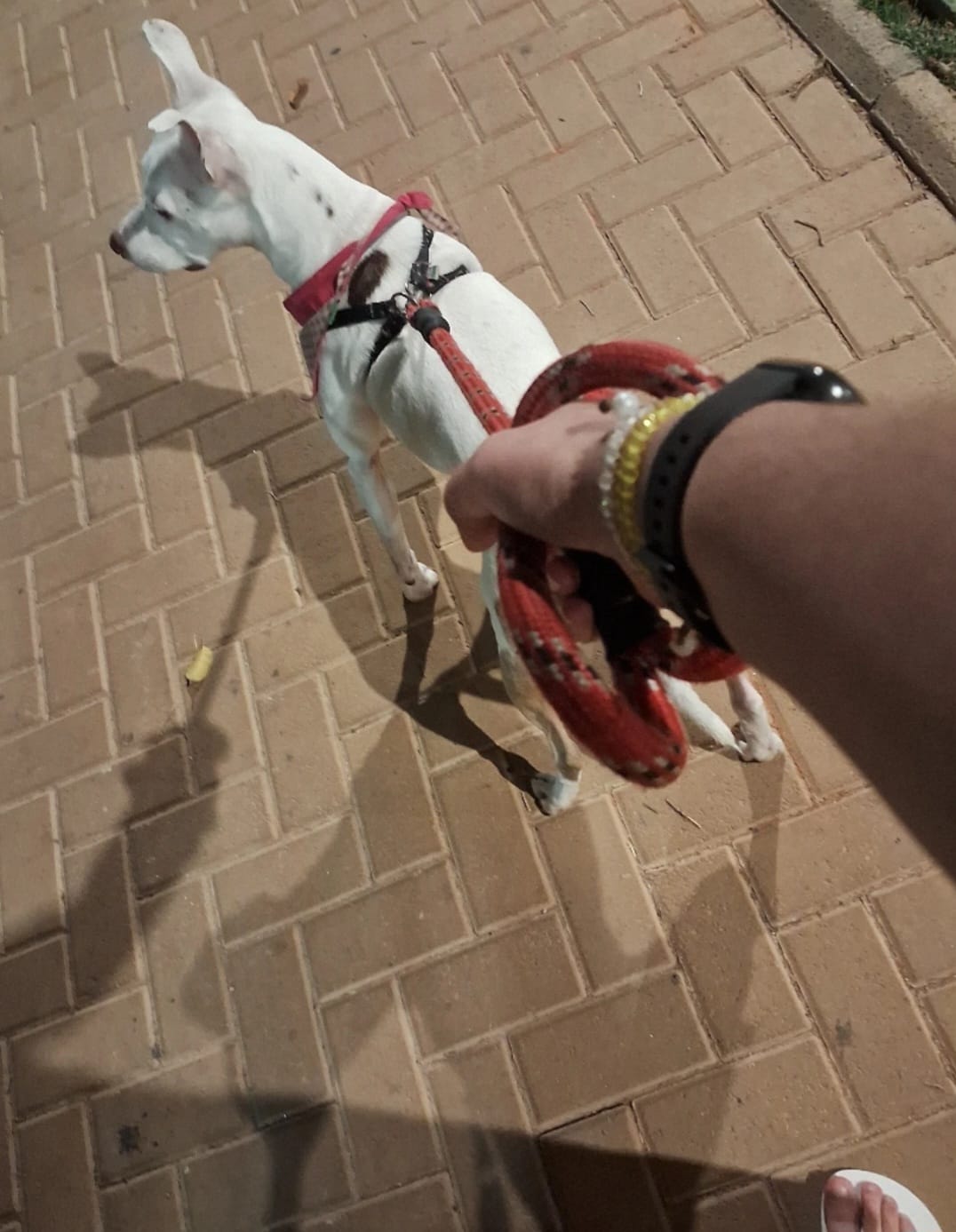 Trabalho de Aline Barros — foto 7