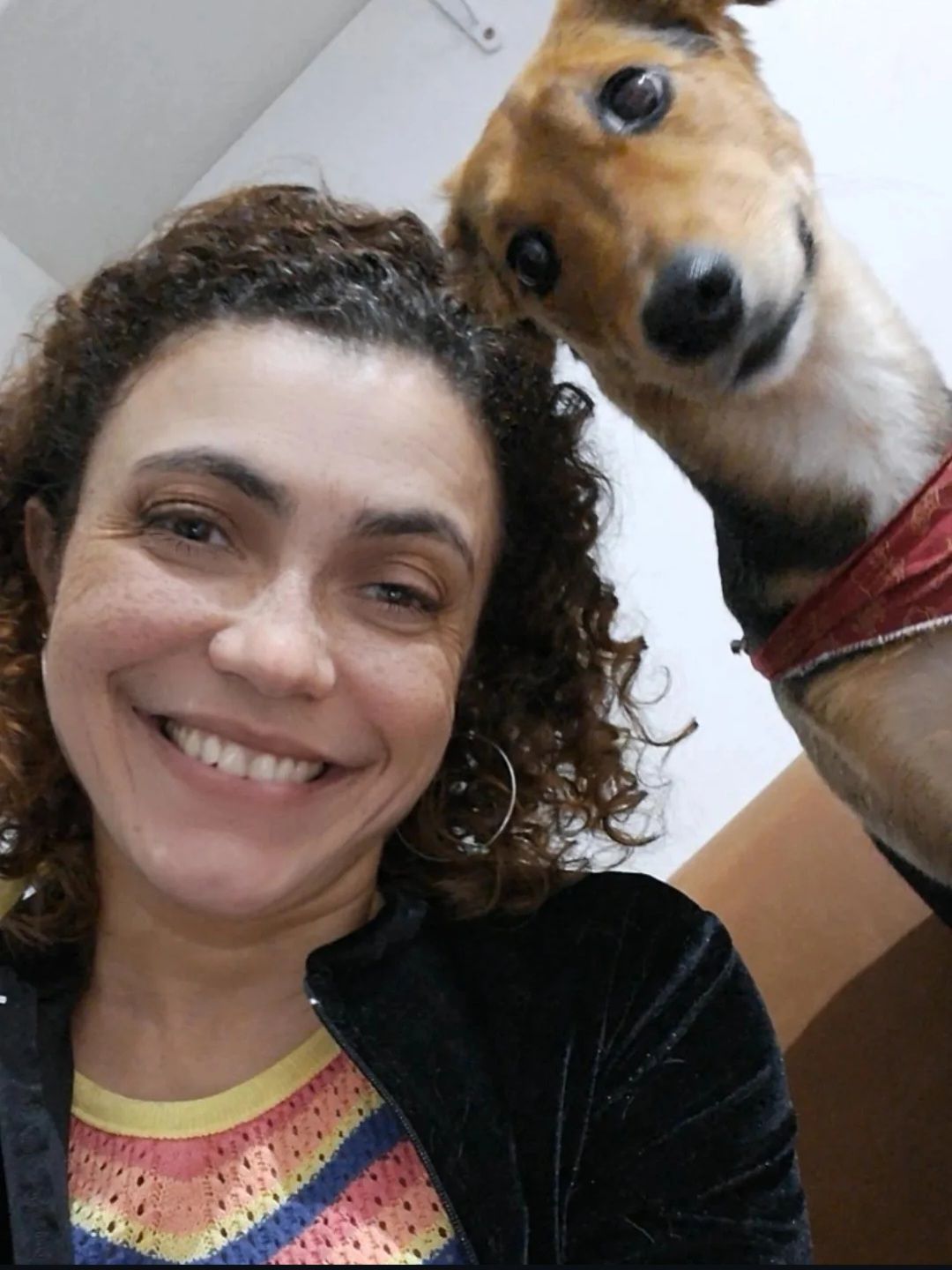 Trabalho de Aline Barros — foto 11