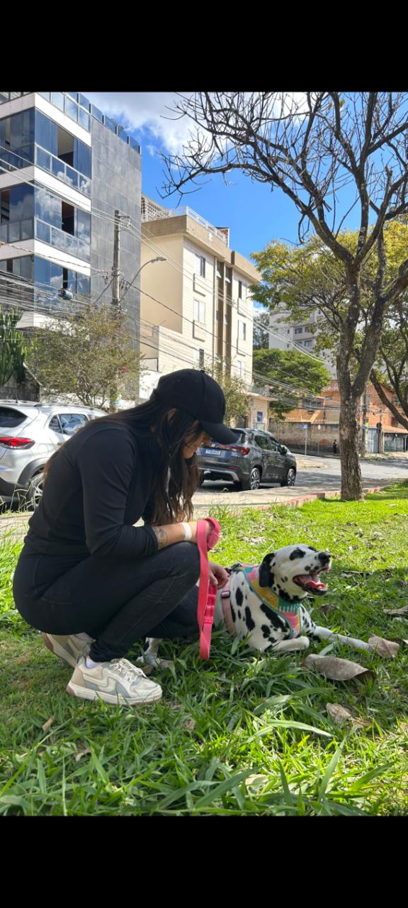 Trabalho de Maria Júlia — foto 1