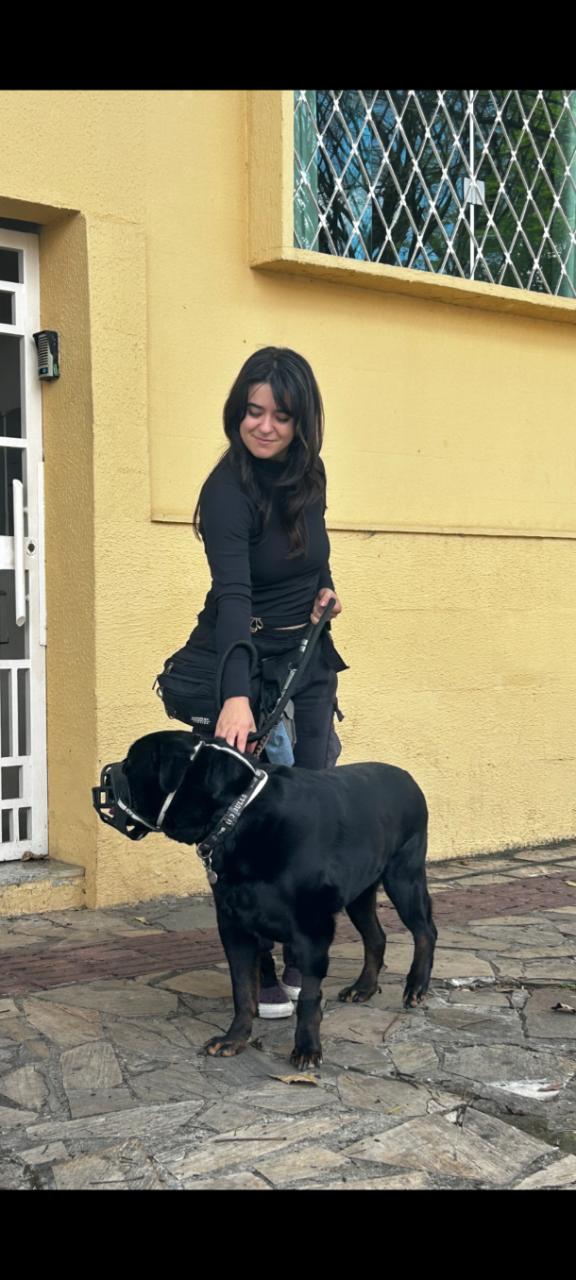 Trabalho de Maria Júlia — foto 2