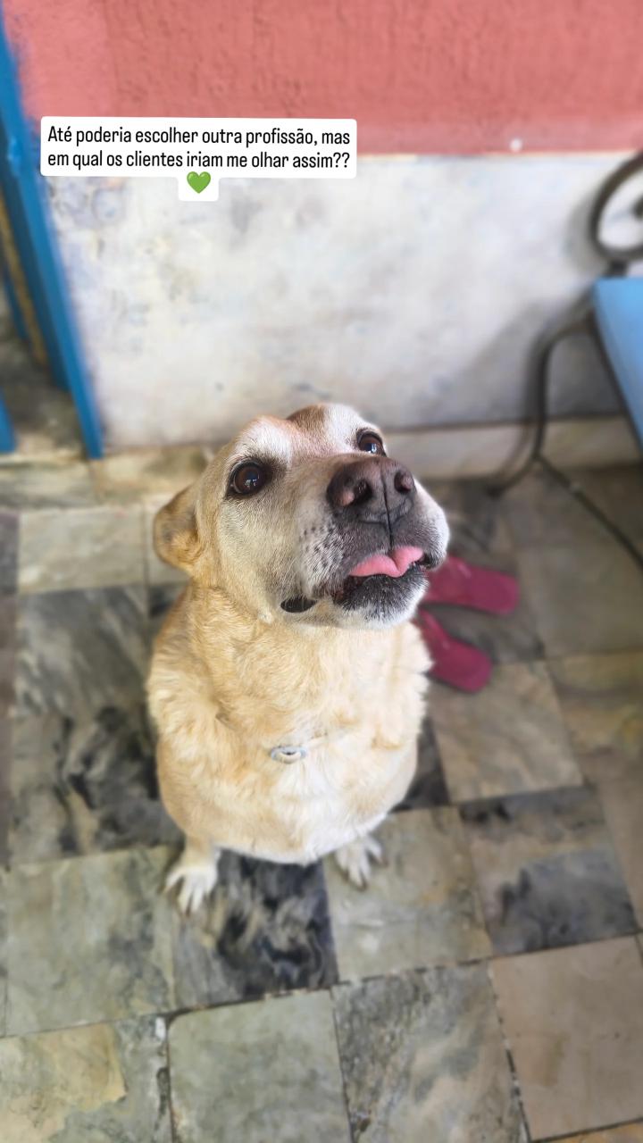 Trabalho de Maria Júlia — foto 3