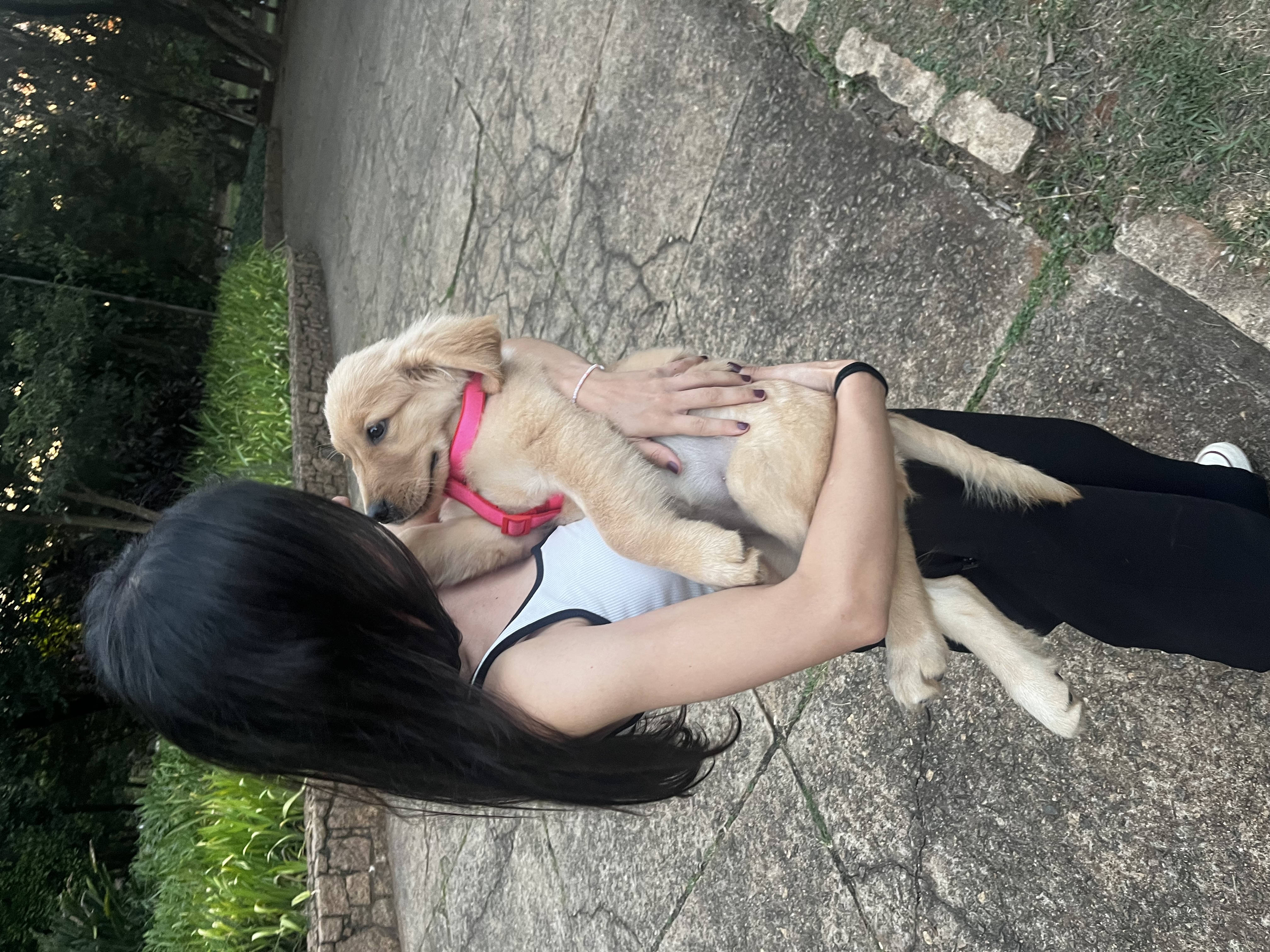 Galeria Caroline de Oliveira Costa