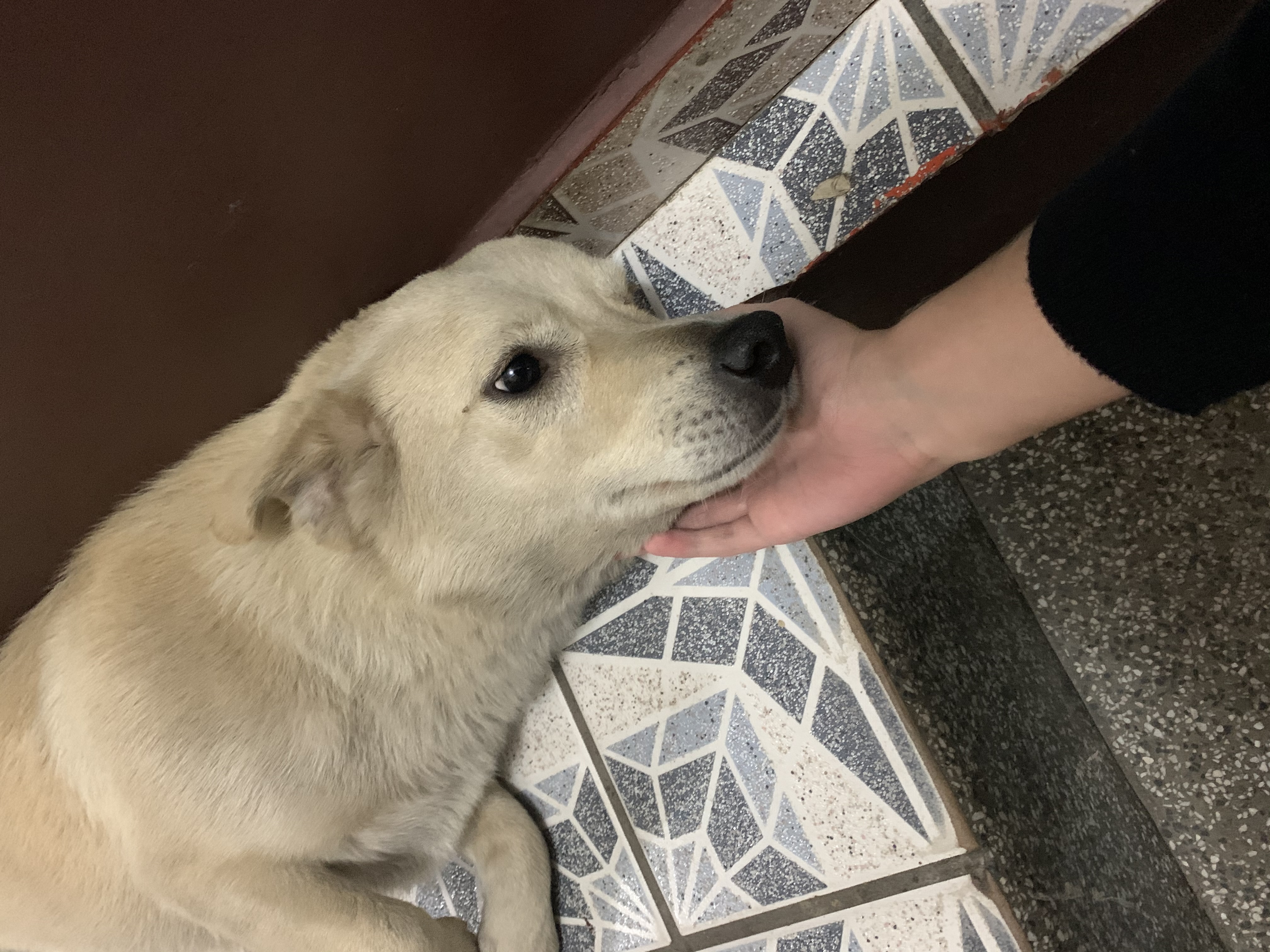 Galeria Caroline de Oliveira Costa